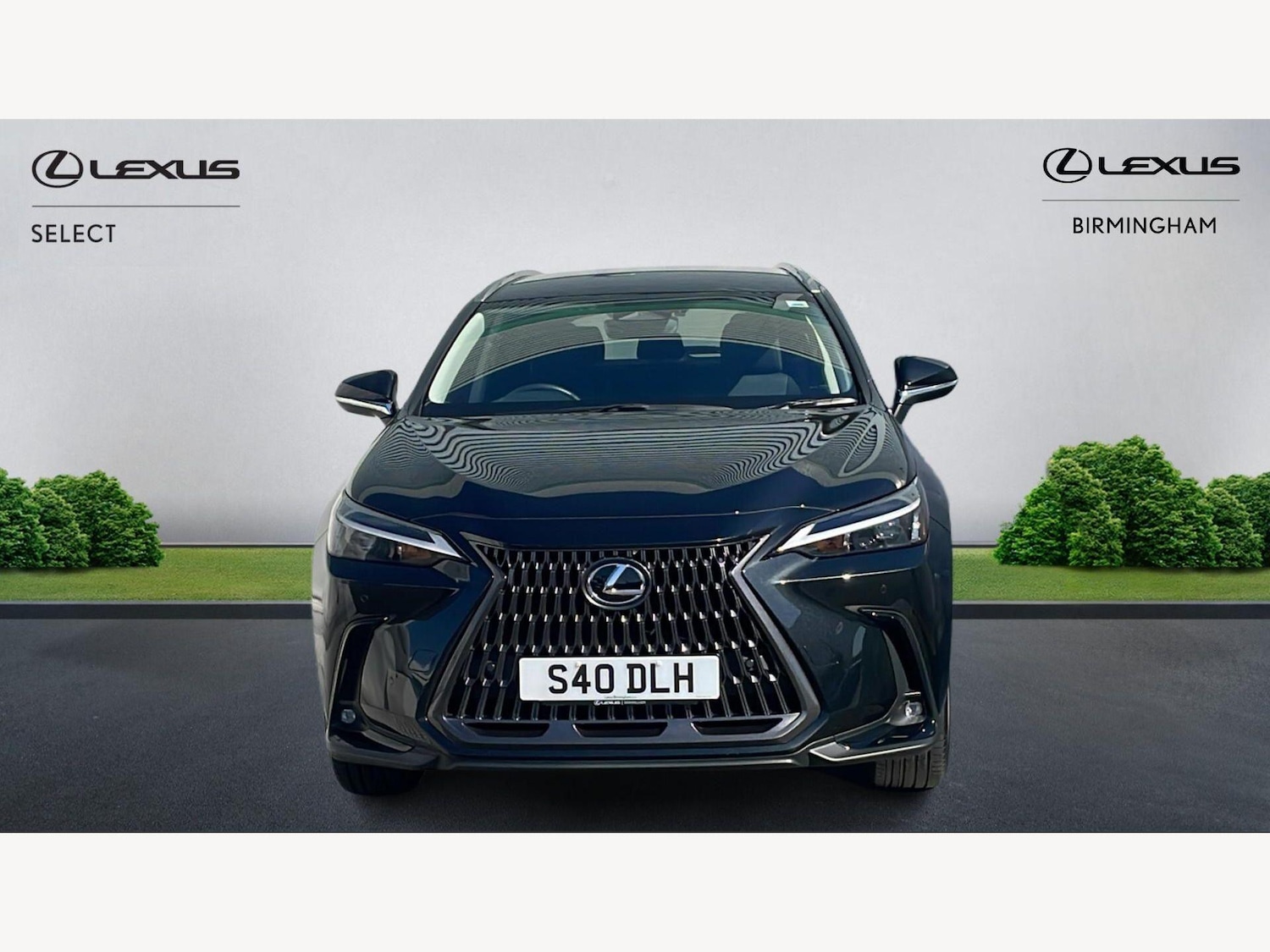 Used Lexus NX 2023 for sale - 77977912: Photo 6