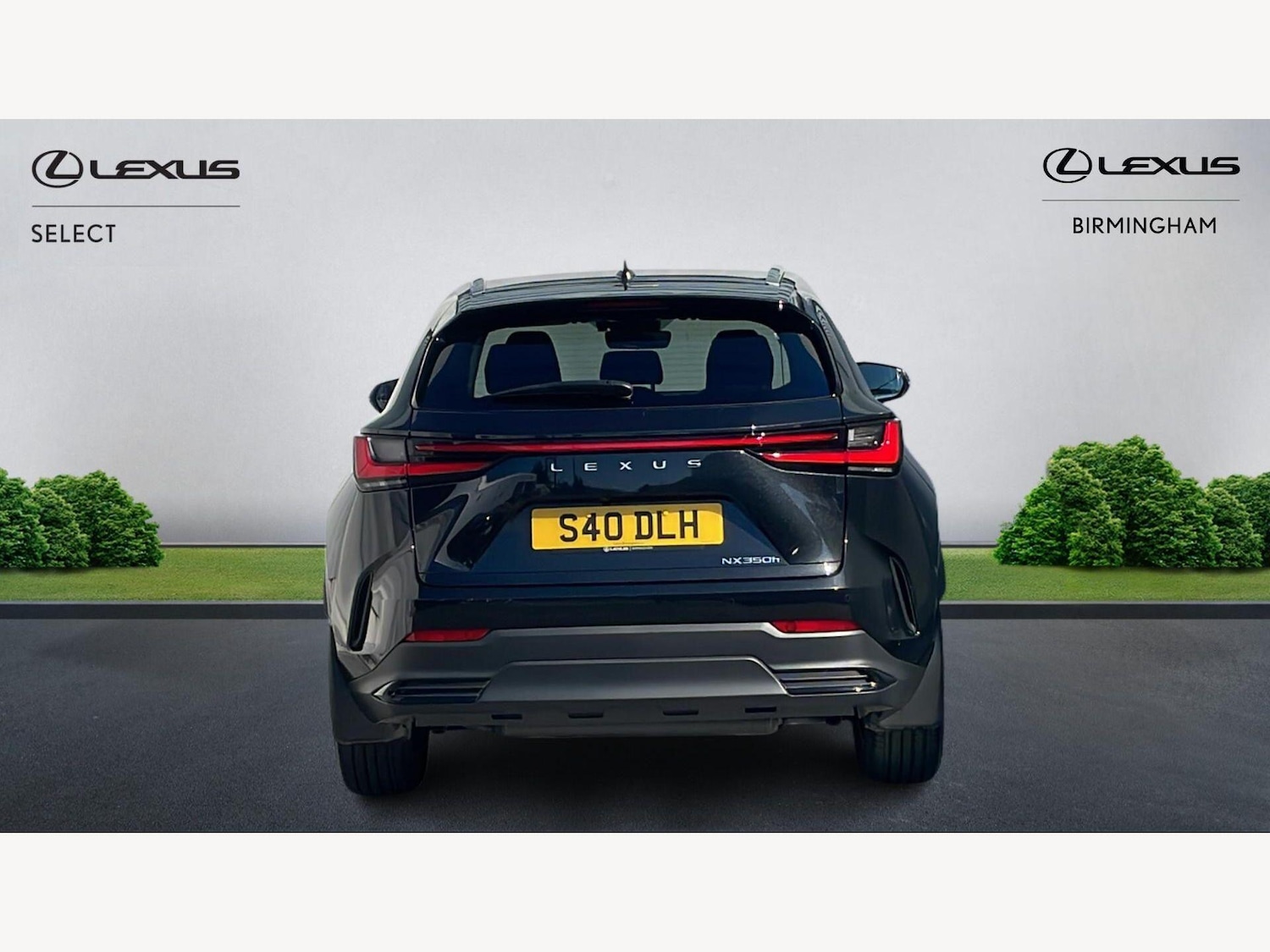 Used Lexus NX 2023 for sale - 77977912: Photo 7