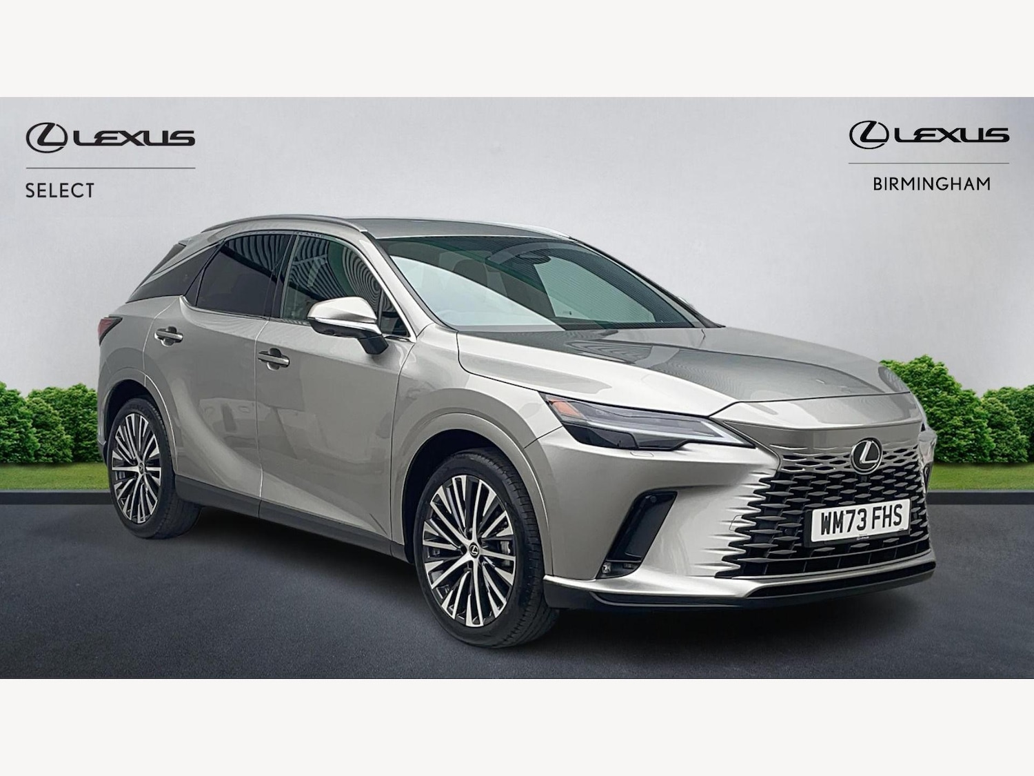 Used Lexus RX 2023 for sale - 76397917: Photo 1