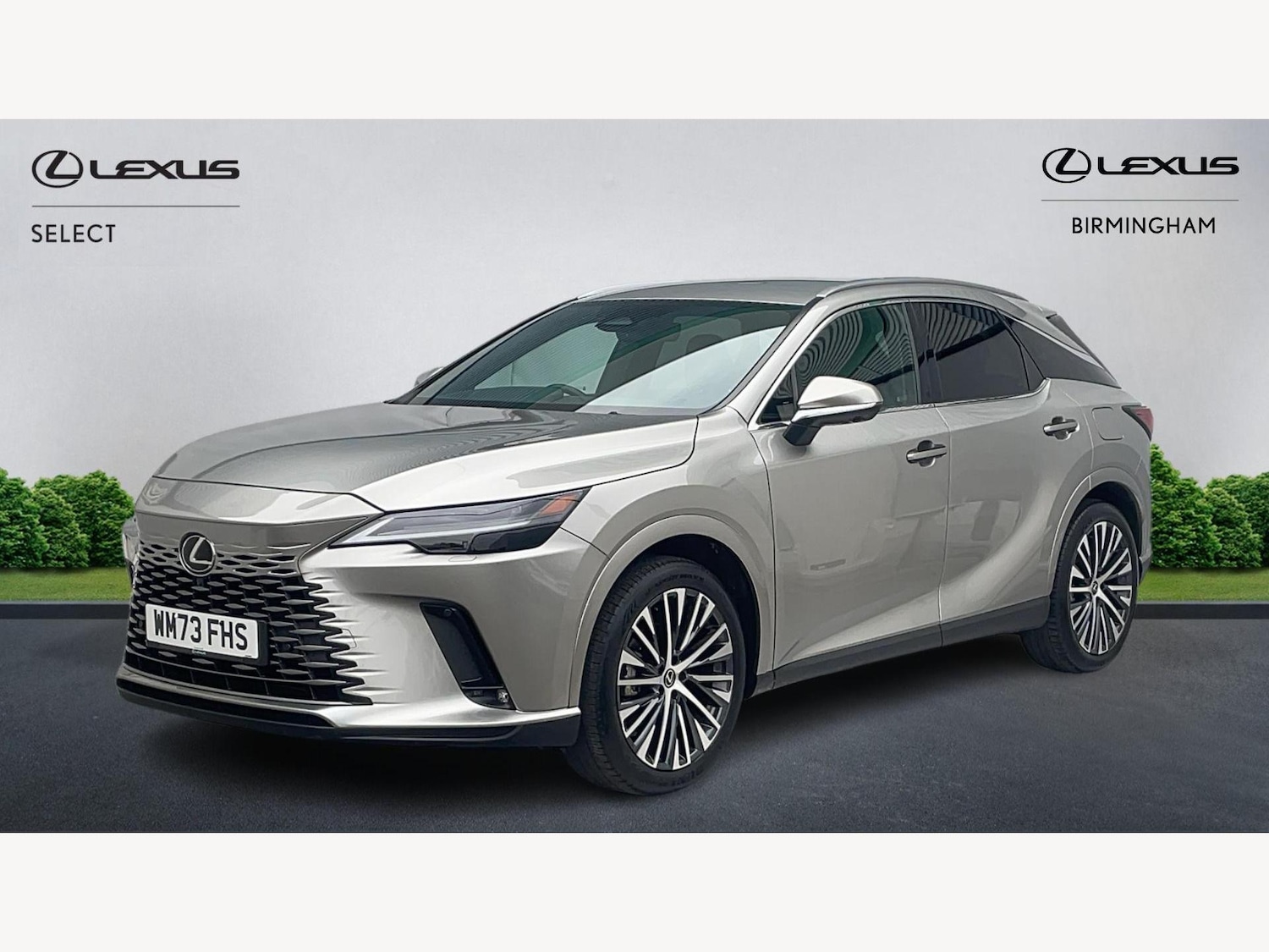 Used Lexus RX 2023 for sale - 76397917: Photo 19