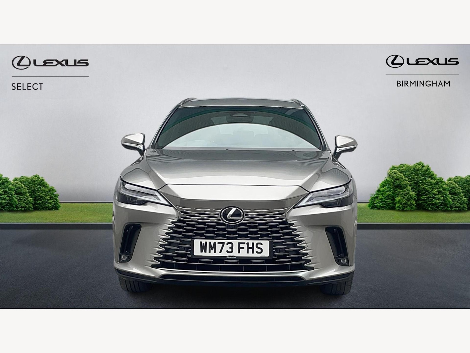 Used Lexus RX 2023 for sale - 76397917: Photo 6