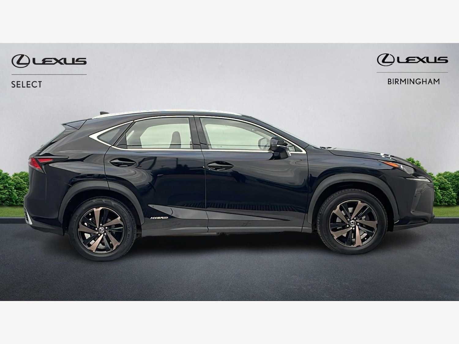 Used Lexus NX 2019 for sale - 78062847: Photo 18