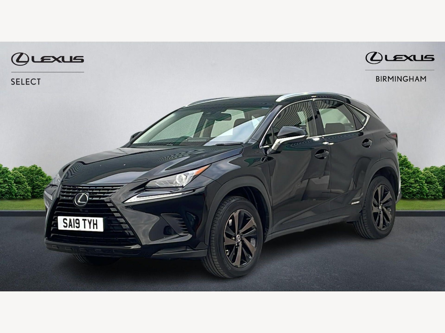 Used Lexus NX 2019 for sale - 78062847: Photo 19