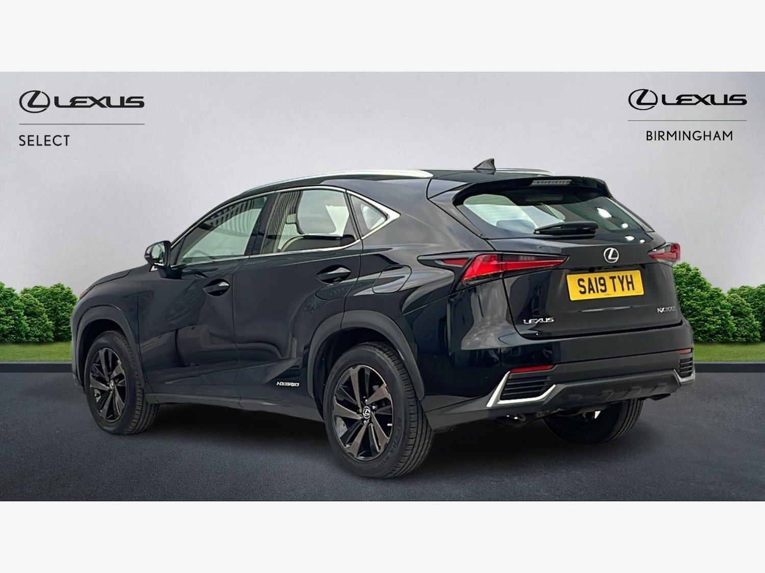 Used Lexus NX 2019 for sale - 78062847: Photo 2