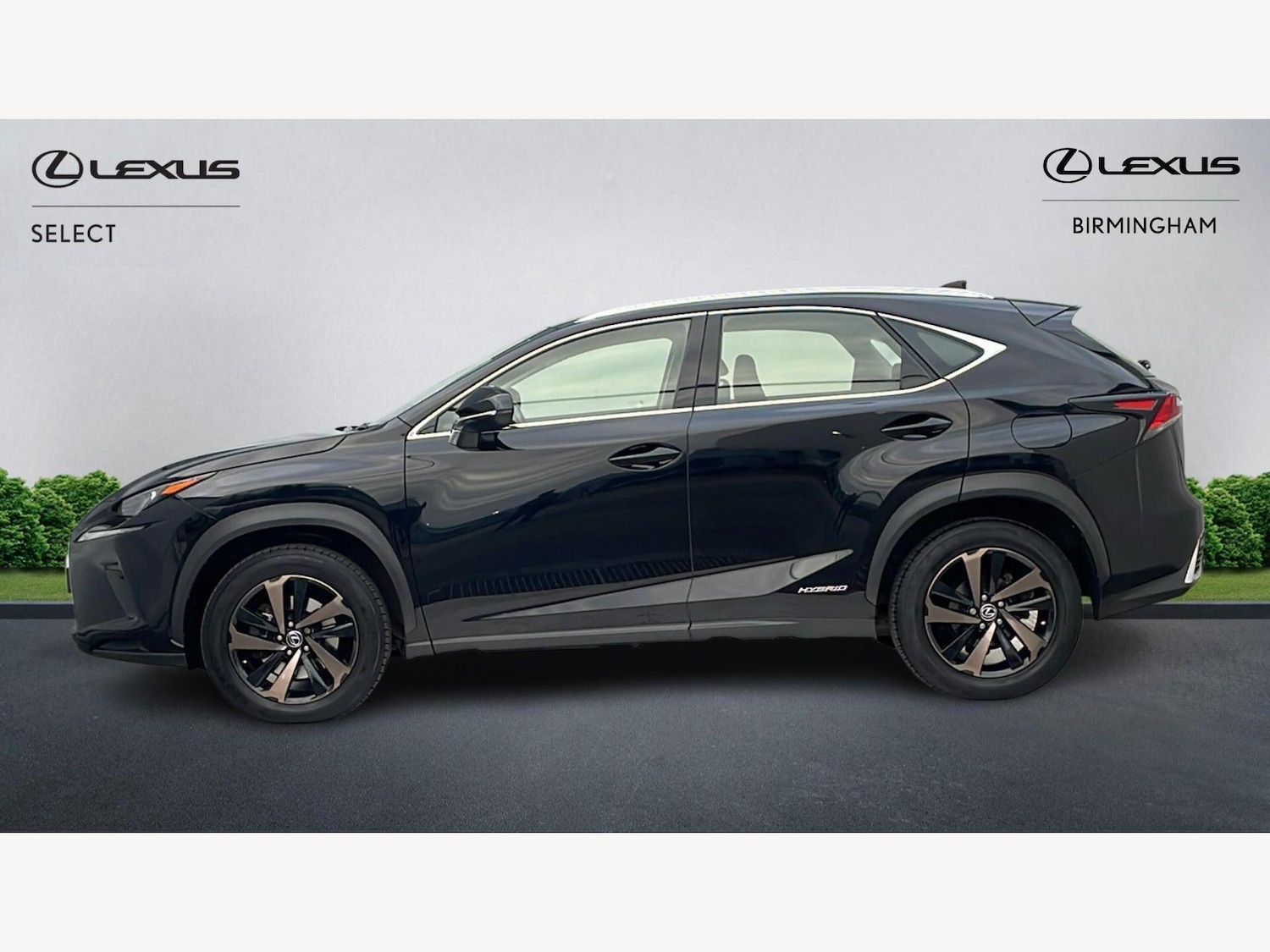 Used Lexus NX 2019 for sale - 78062847: Photo 3