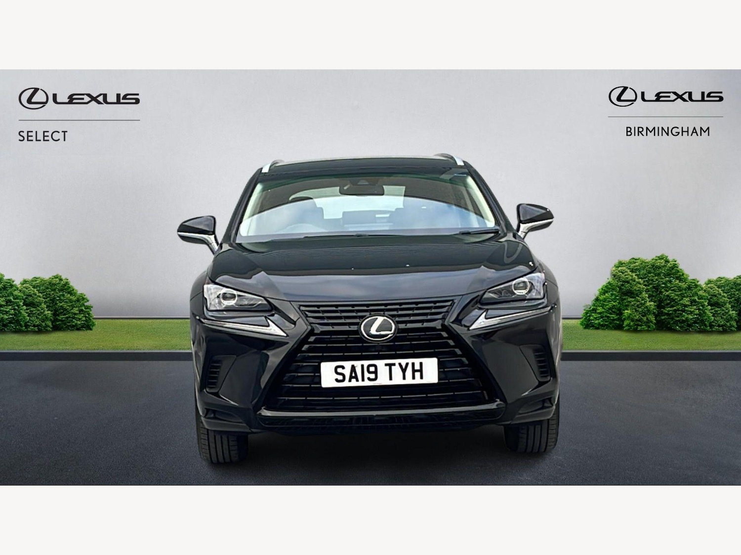 Used Lexus NX 2019 for sale - 78062847: Photo 6