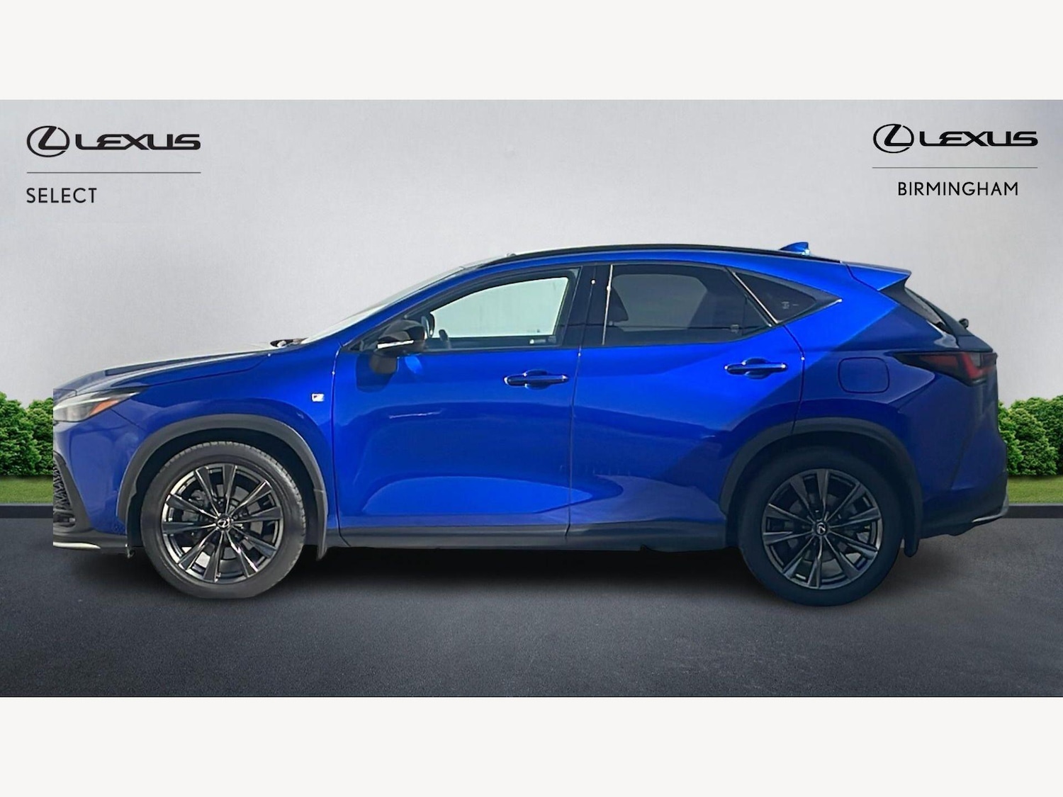 Used Lexus NX 2023 for sale - 77925090: Photo 3