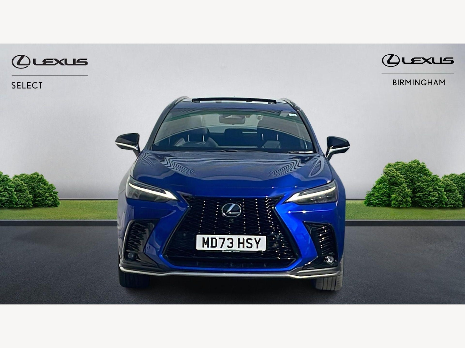 Used Lexus NX 2023 for sale - 77925090: Photo 6