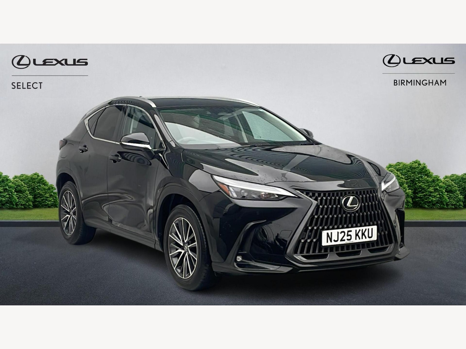 Used Lexus NX 2025 for sale - 77344501: Photo 1