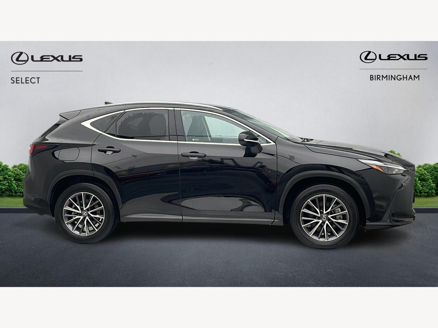 Used Lexus NX 2025 for sale - 77344501: Photo 18