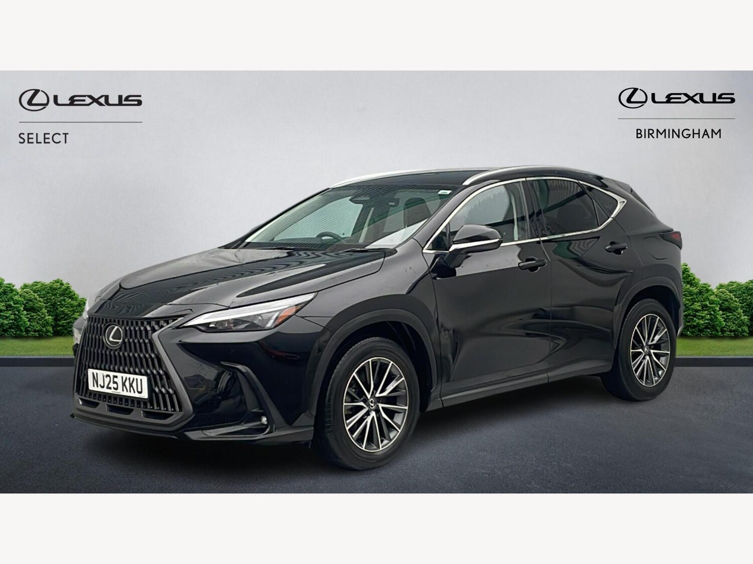 Used Lexus NX 2025 for sale - 77344501: Photo 19