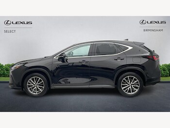 Used Lexus NX 2025 for sale - 77344501: Photo