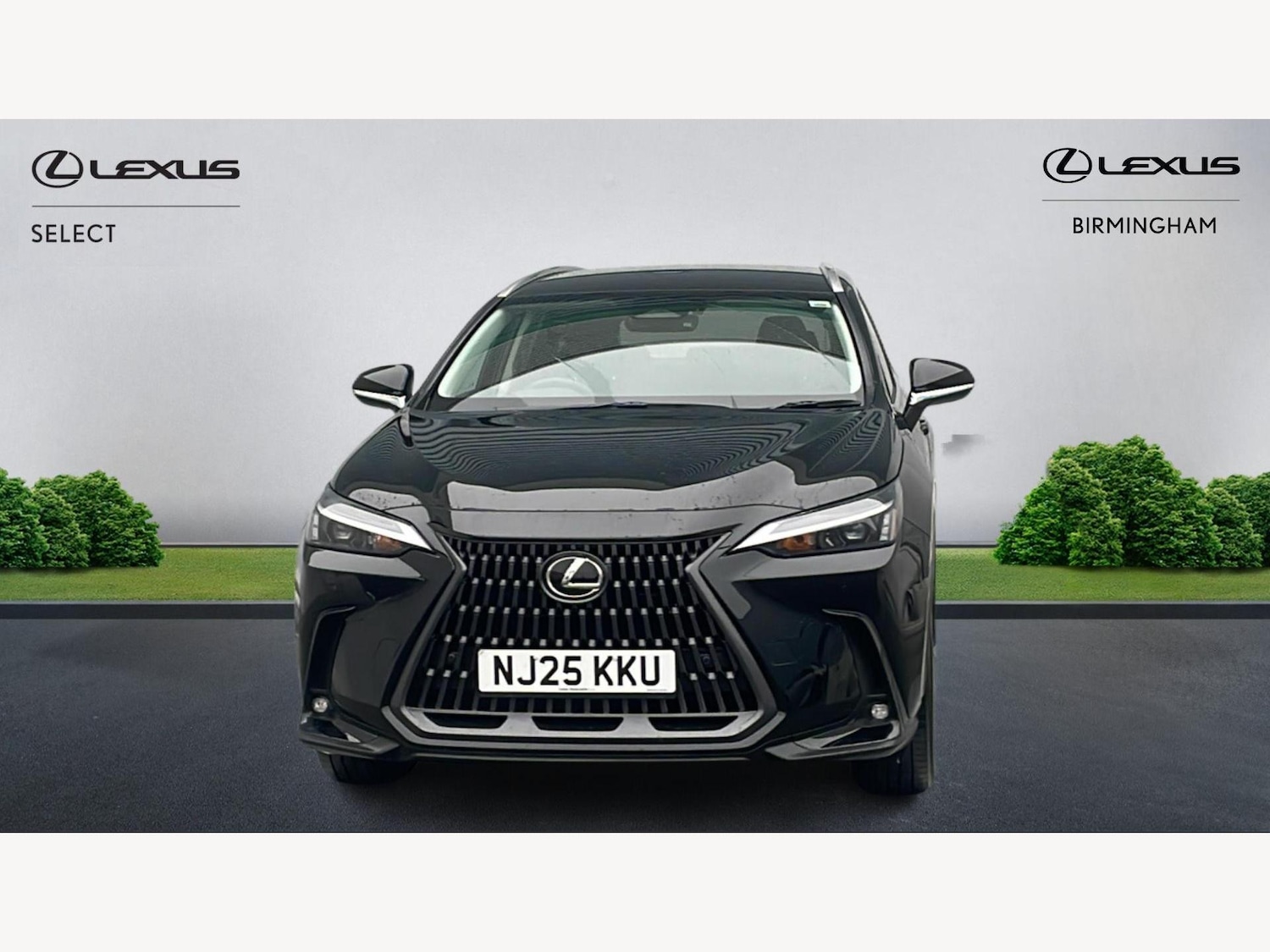 Used Lexus NX 2025 for sale - 77344501: Photo 6