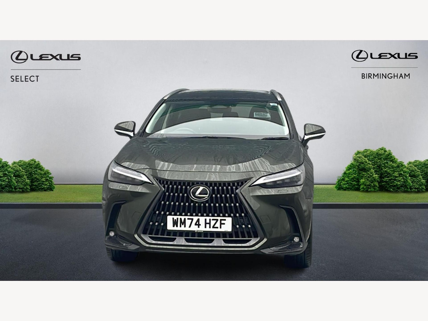 Used Lexus NX 2025 for sale - 77439665: Photo 6