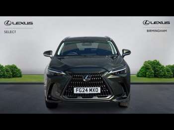 Used Lexus NX 2024 for sale - 74701137: Photo