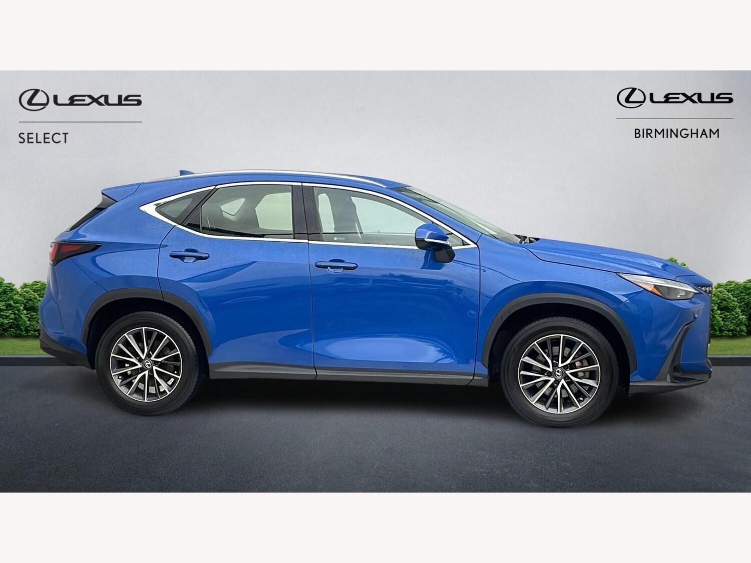 Used Lexus NX for sale - 77242637: Photo 18