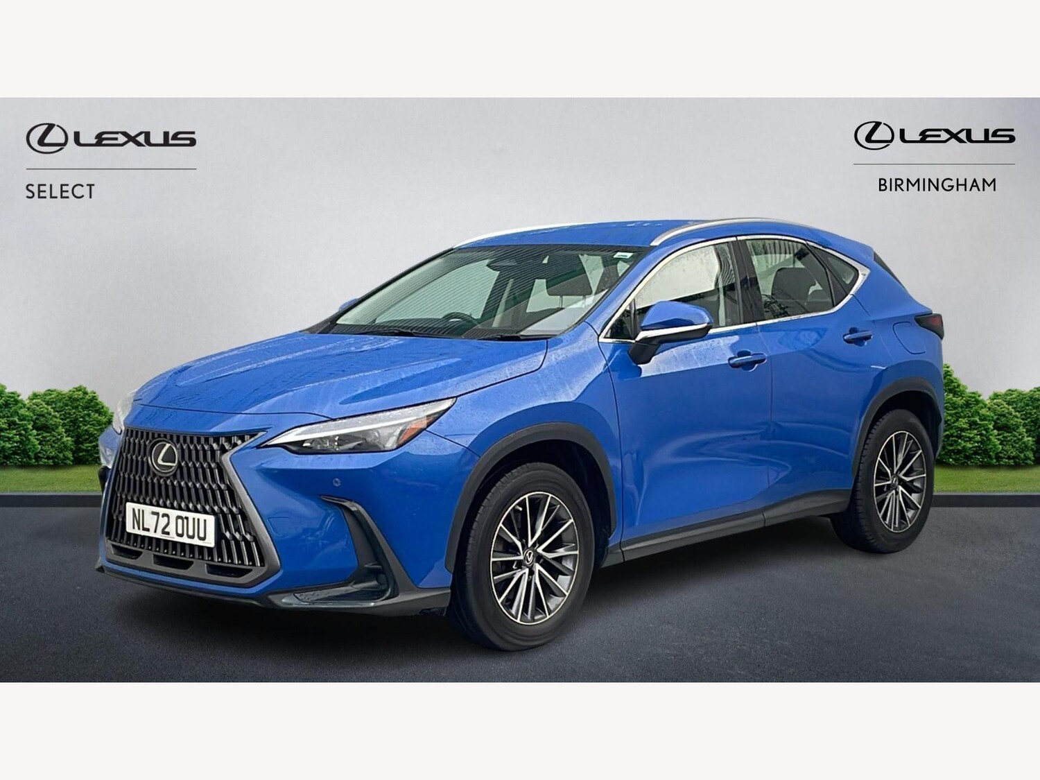 Used Lexus NX for sale - 77242637: Photo 19
