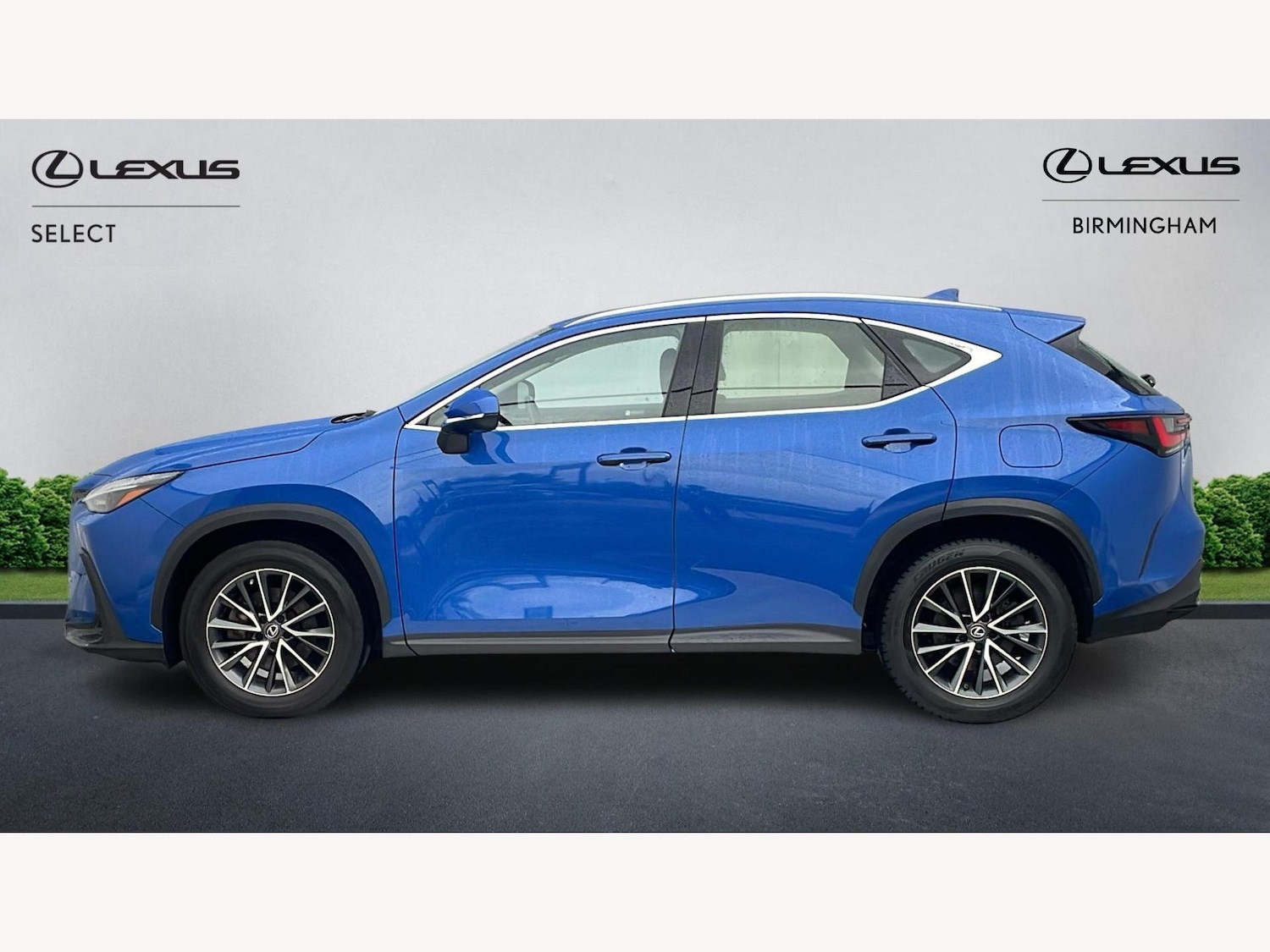 Used Lexus NX for sale - 77242637: Photo 3