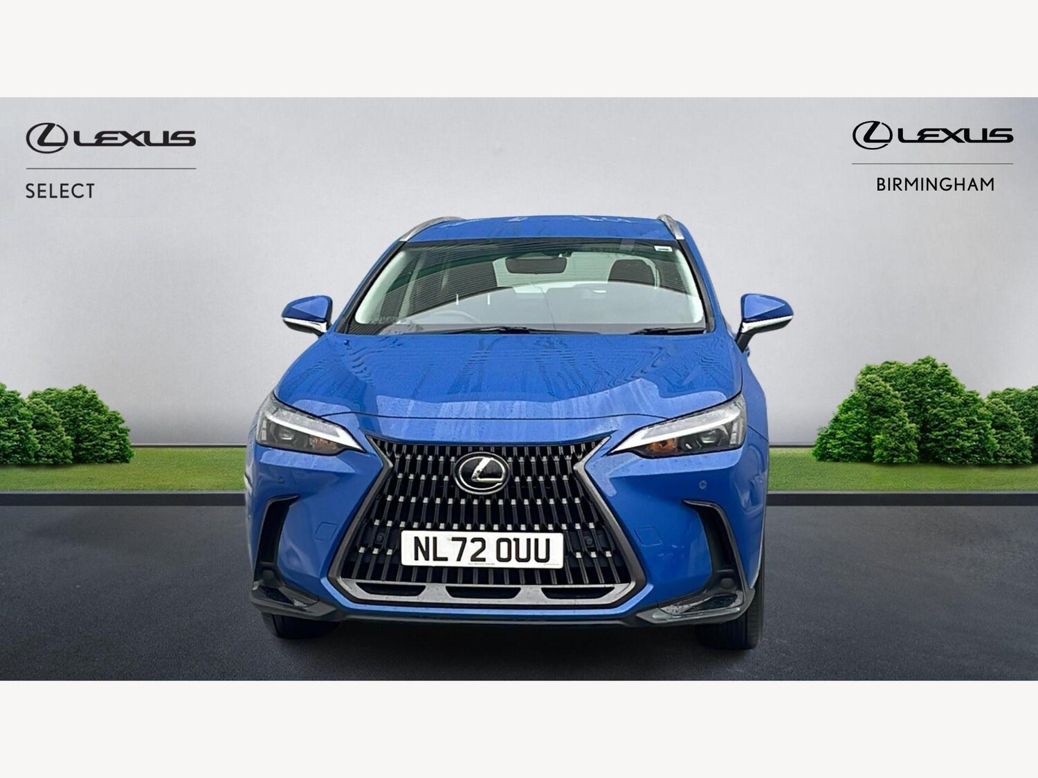 Used Lexus NX for sale - 77242637: Photo 6