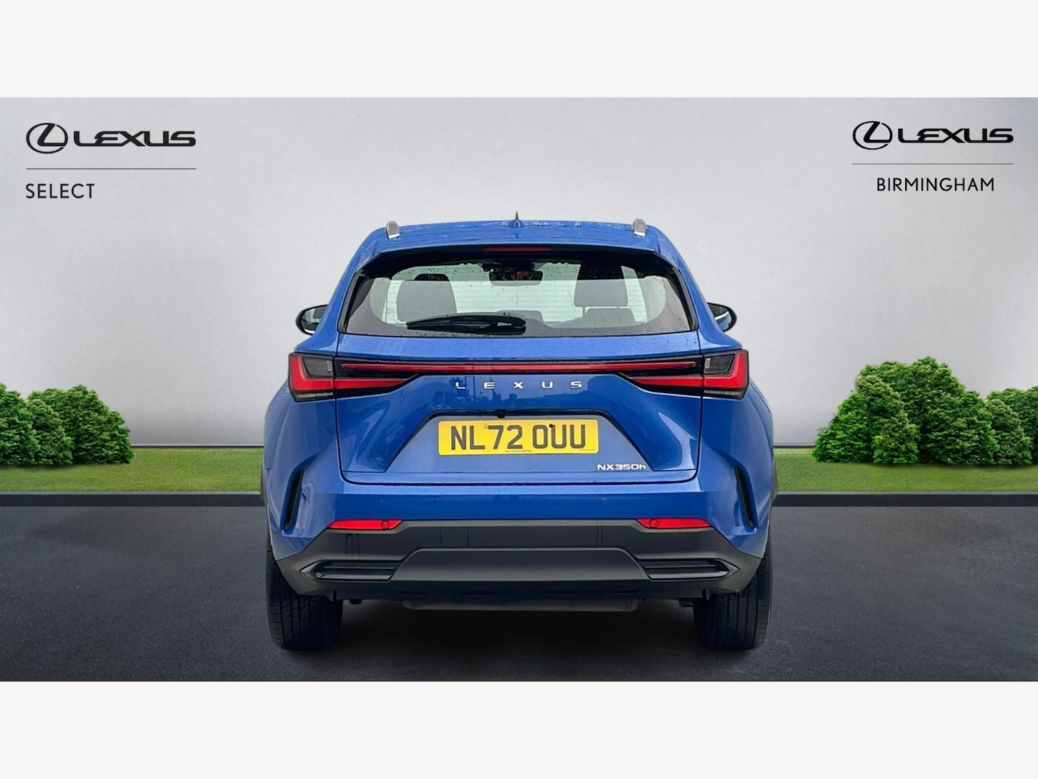 Used Lexus NX for sale - 77242637: Photo 7