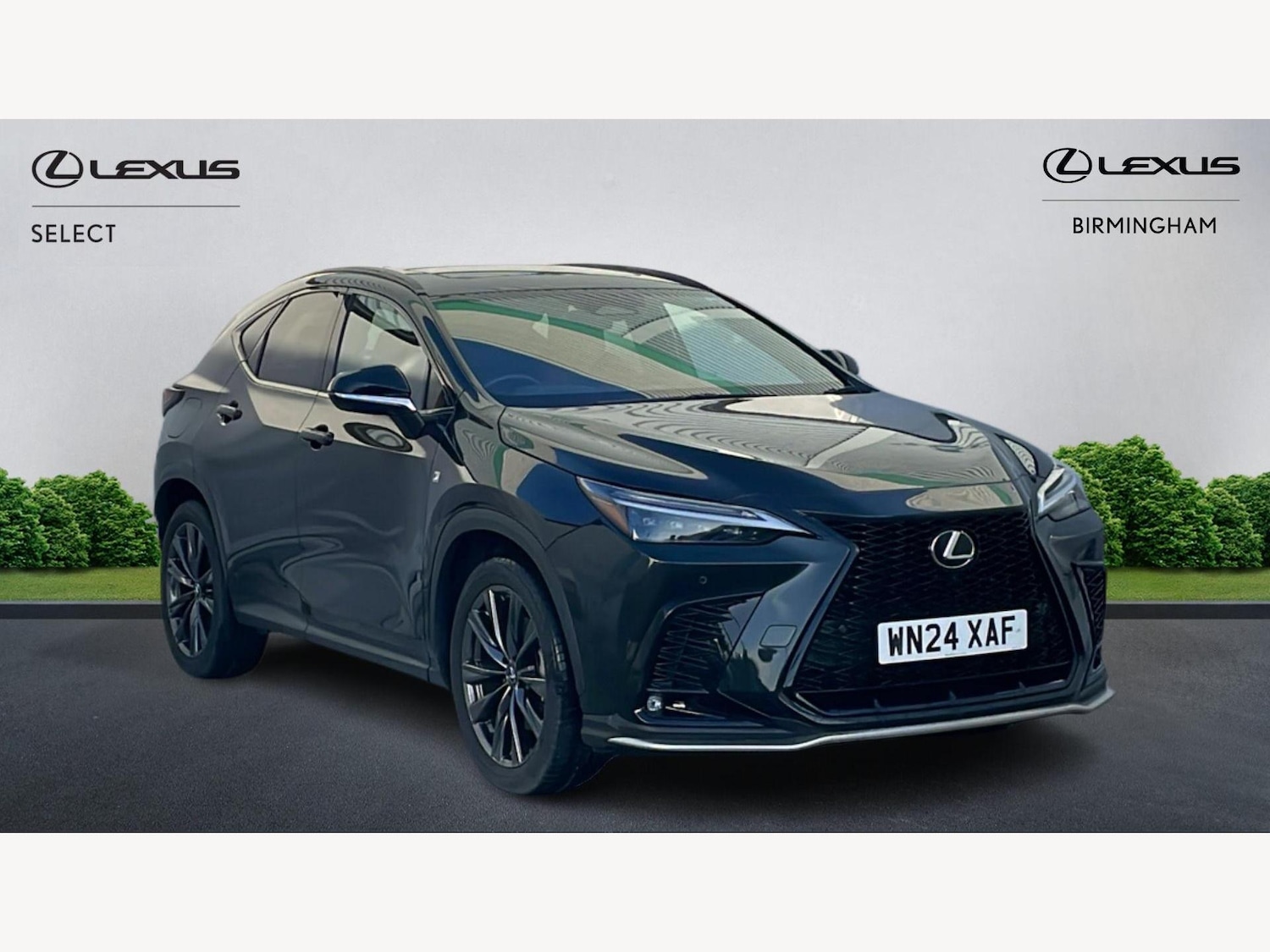 Used Lexus NX 2024 for sale - 76942504: Photo 1