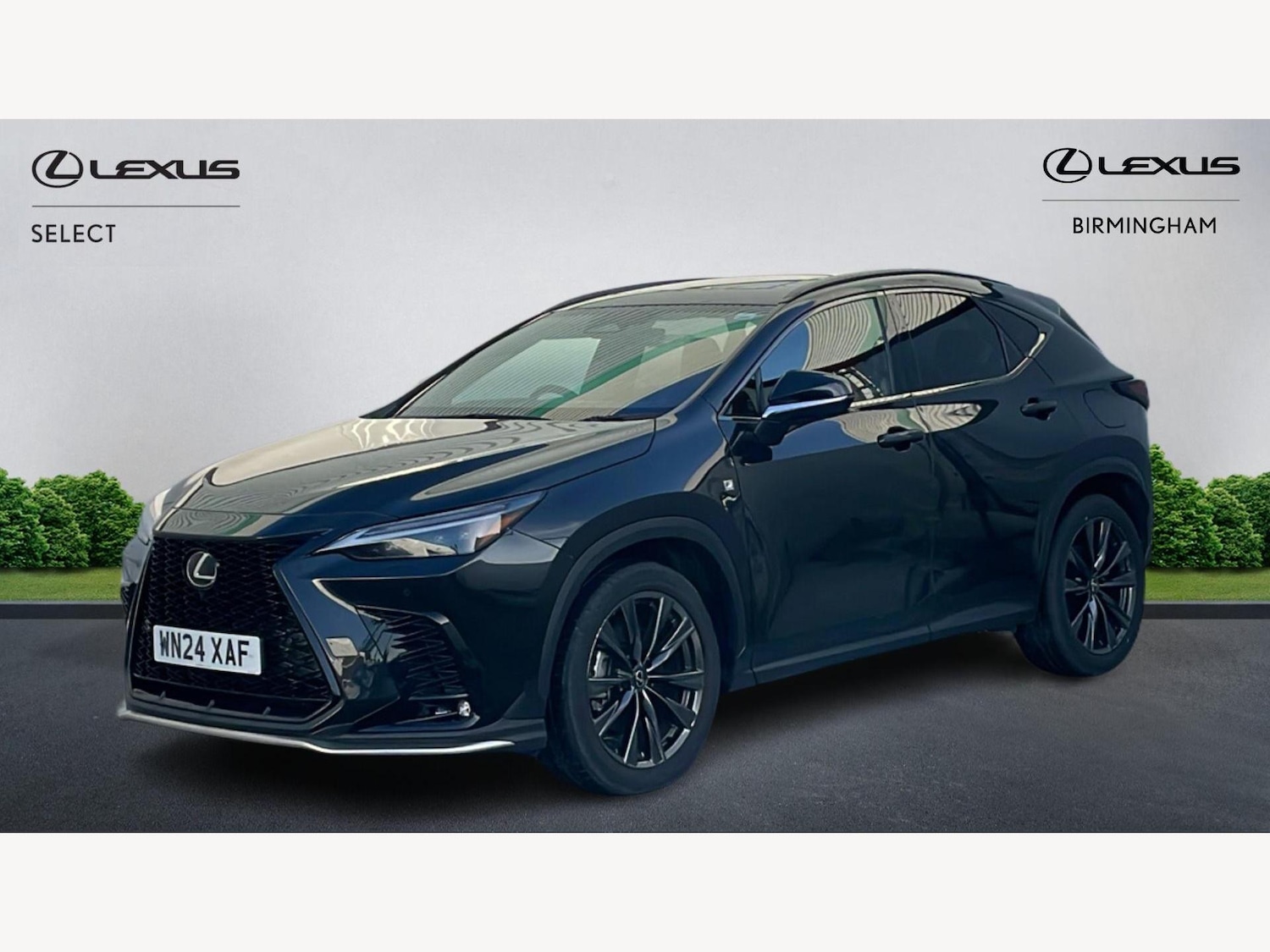 Used Lexus NX 2024 for sale - 76942504: Photo 19