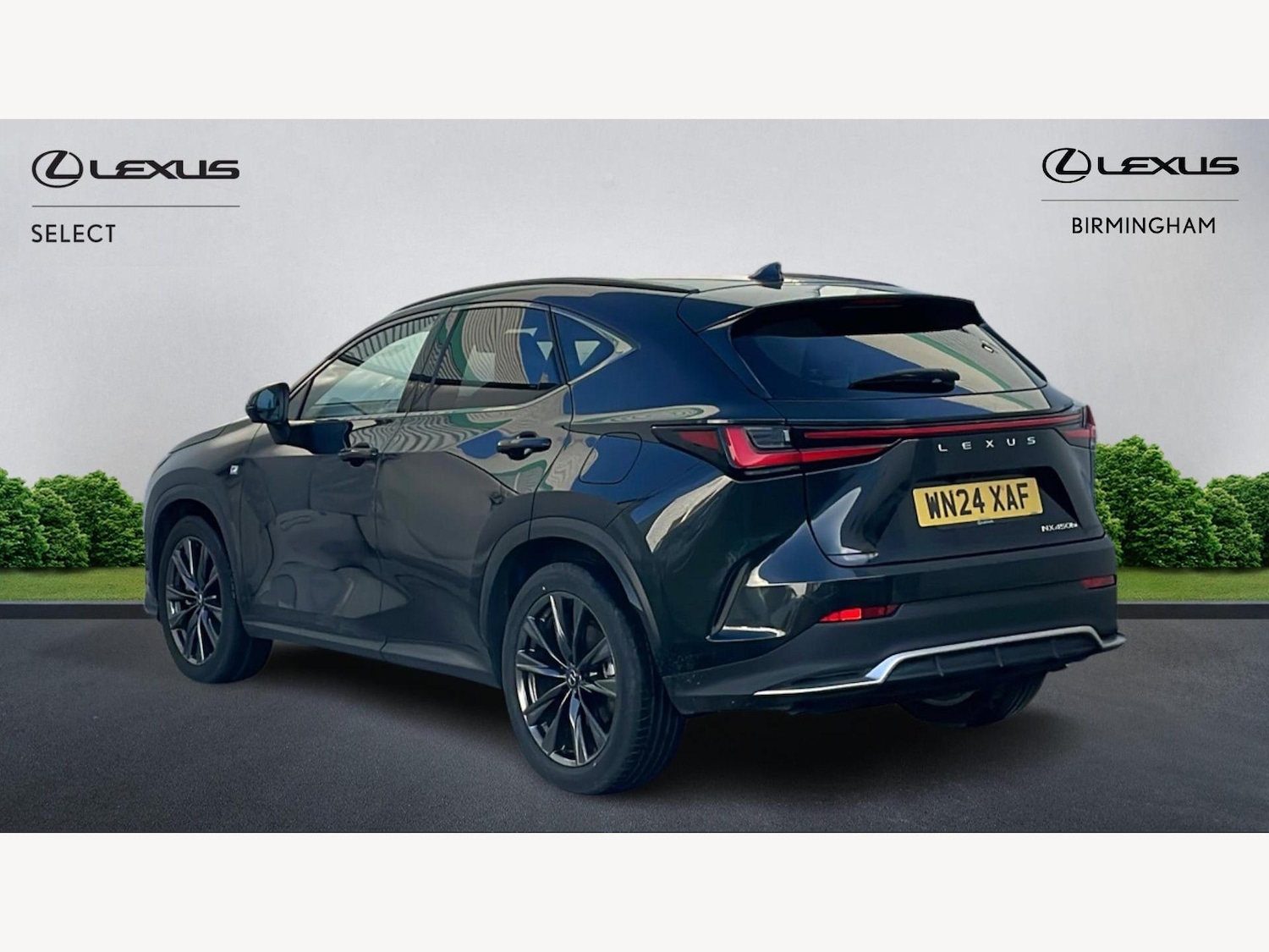 Used Lexus NX 2024 for sale - 76942504: Photo 2