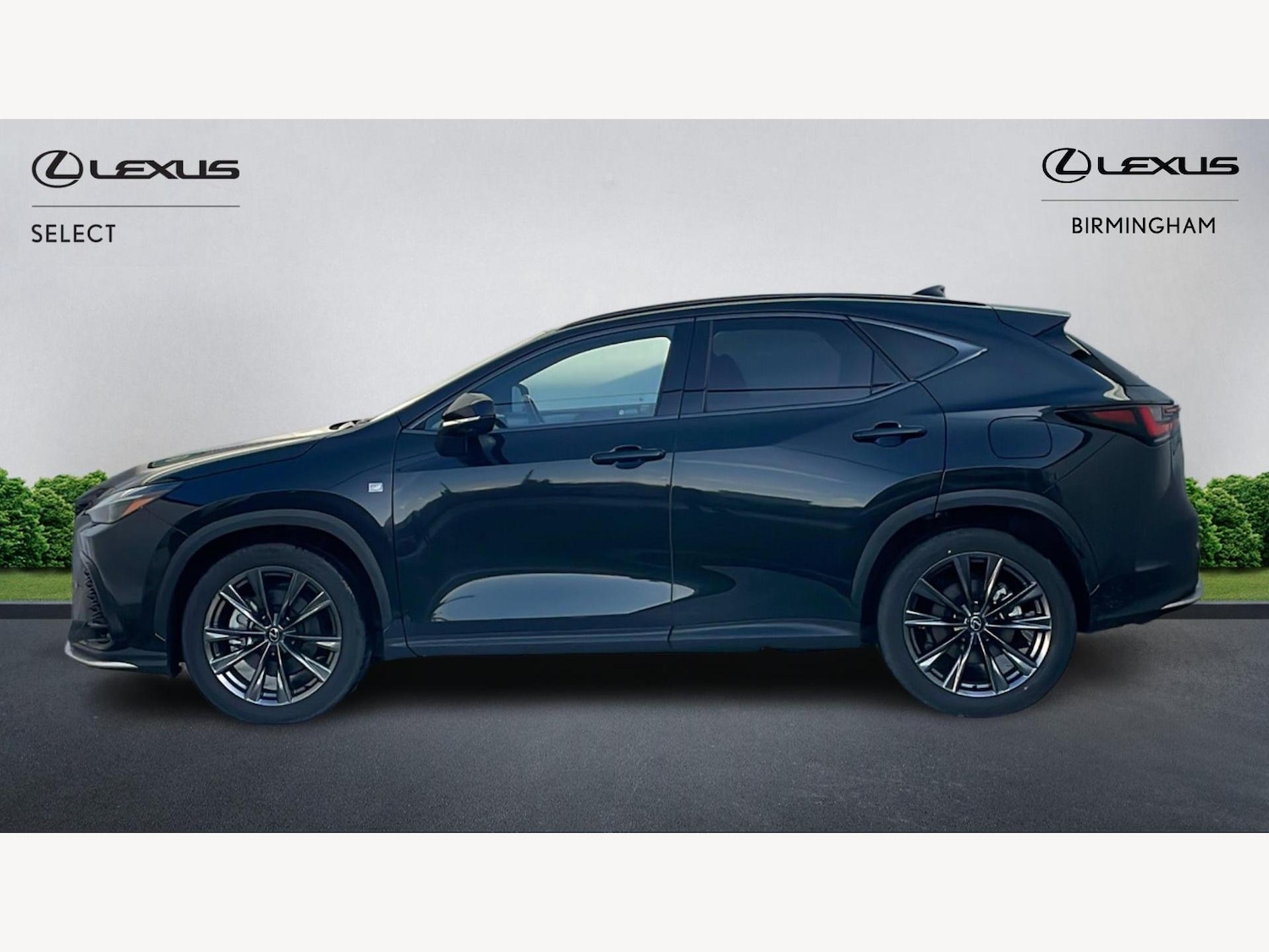 Used Lexus NX 2024 for sale - 76942504: Photo 3