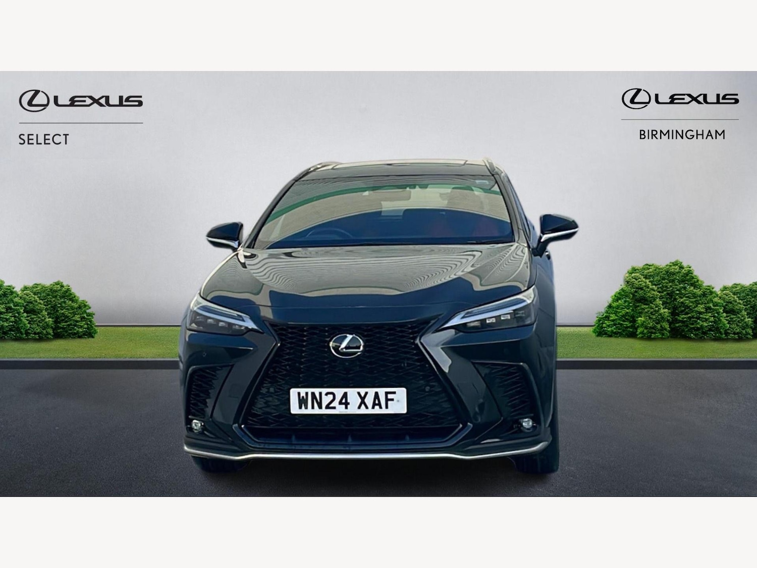 Used Lexus NX 2024 for sale - 76942504: Photo 6