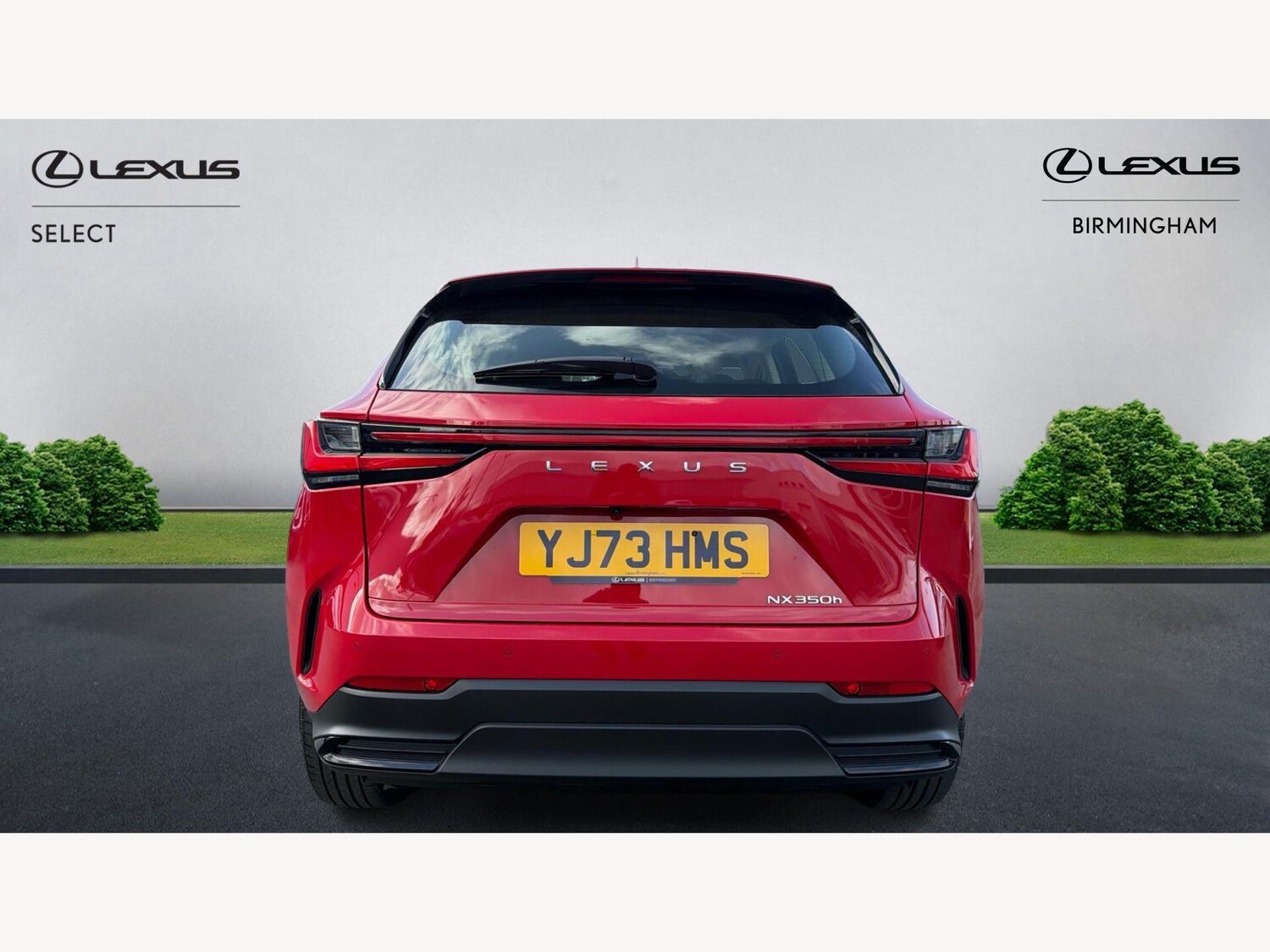 Used Lexus NX 2023 for sale - 77658445: Photo 7