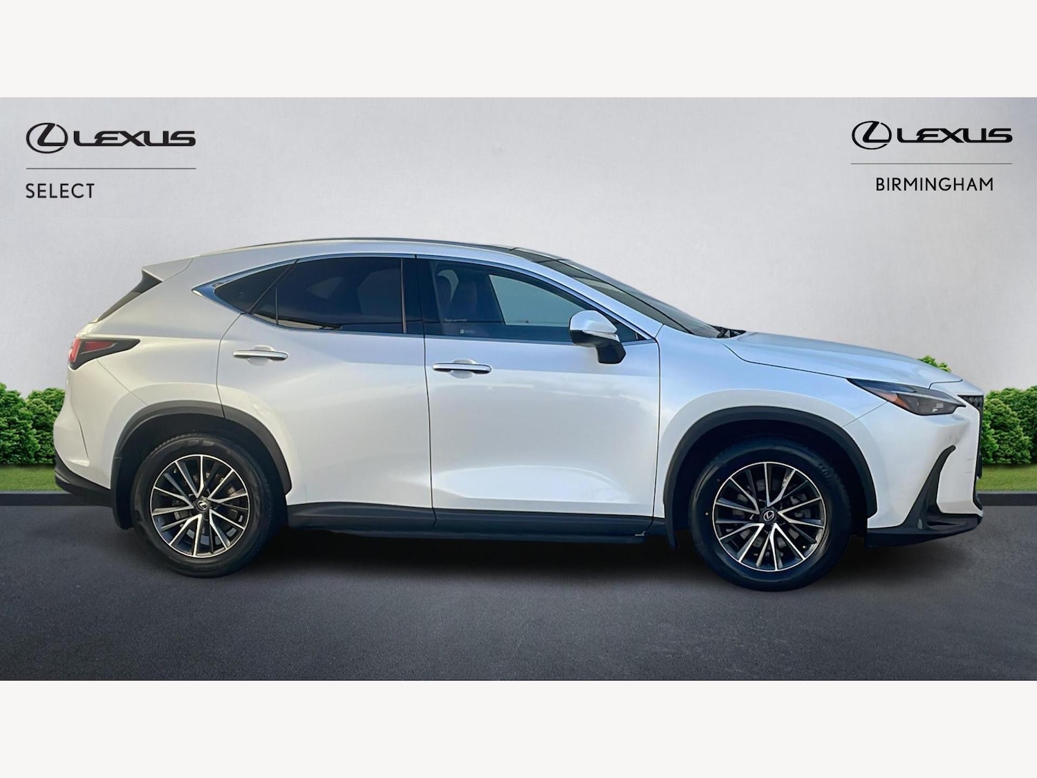 Used Lexus NX 2022 for sale - 77331771: Photo 18