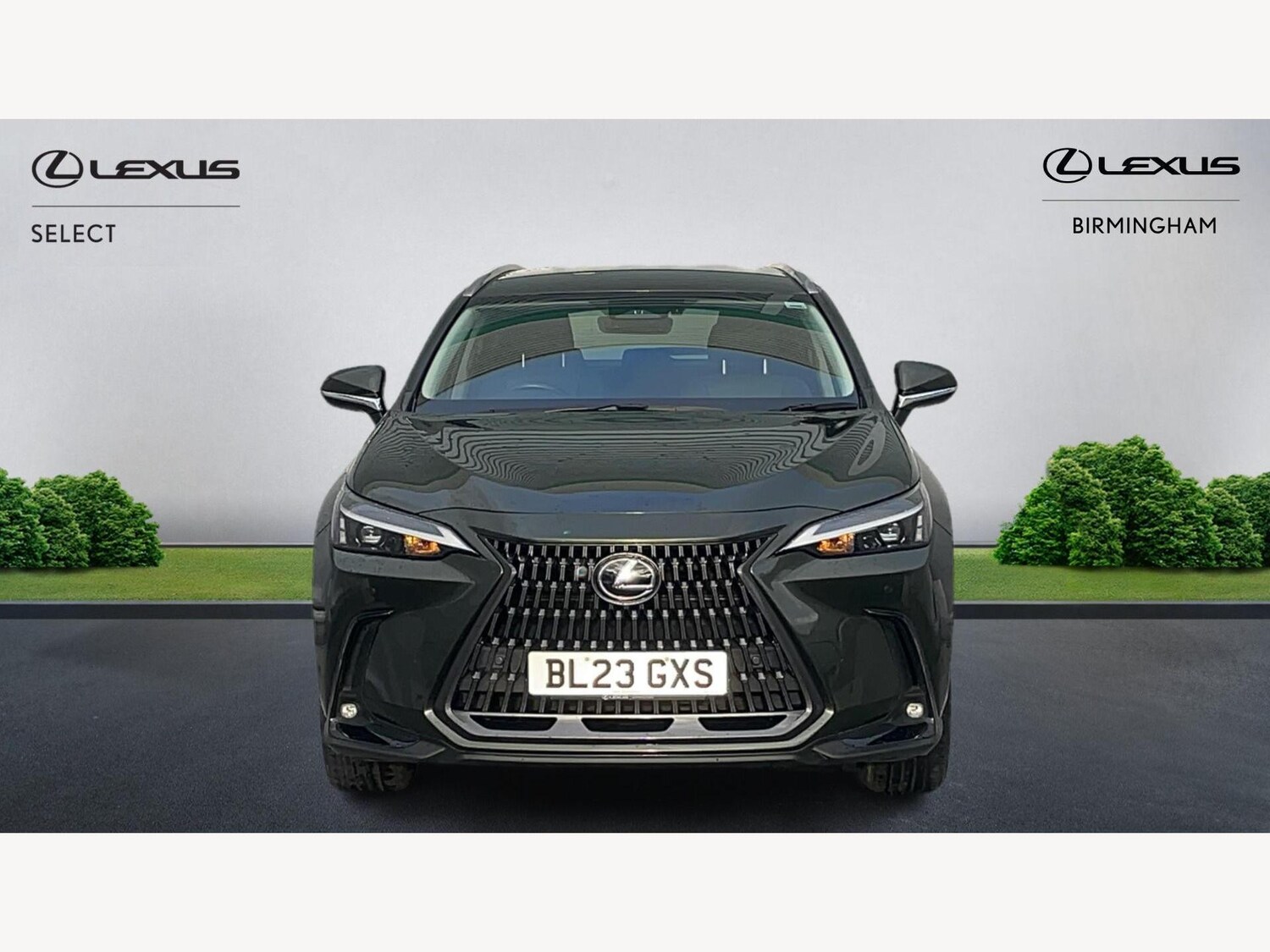Used Lexus NX 2023 for sale - 76512252: Photo 6