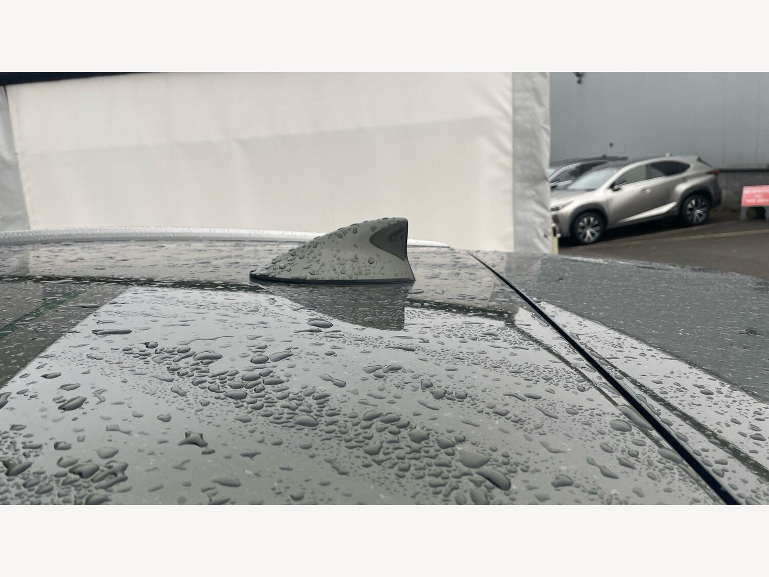 Used Lexus NX 2022 for sale - 77784618: Photo 27