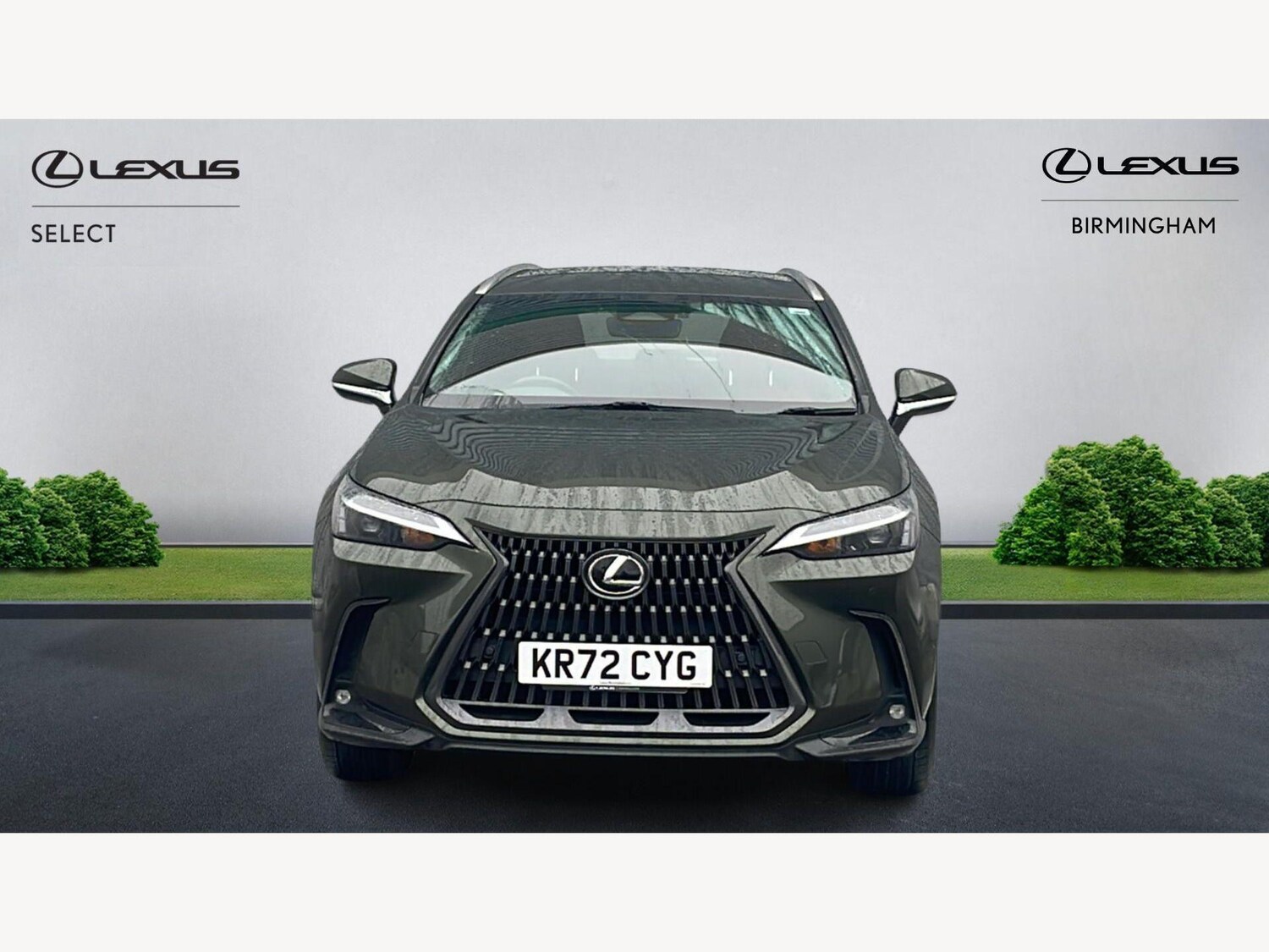 Used Lexus NX 2022 for sale - 77784618: Photo 6