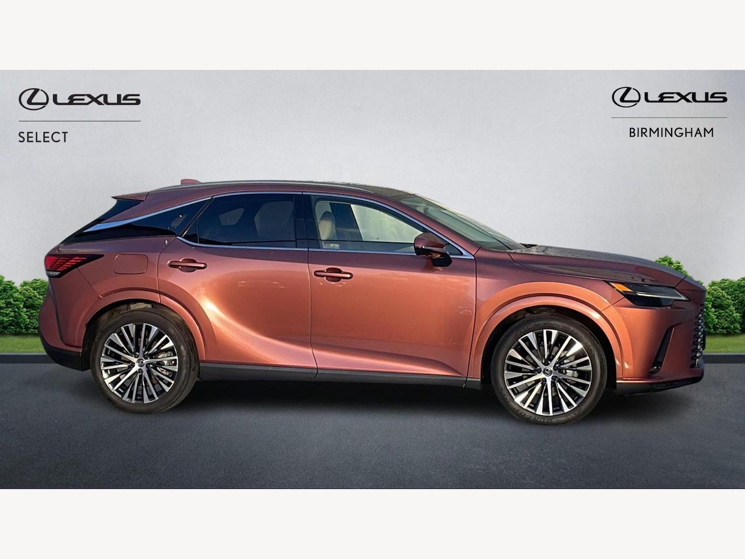 Used Lexus RX 2024 for sale - 77377607: Photo 18