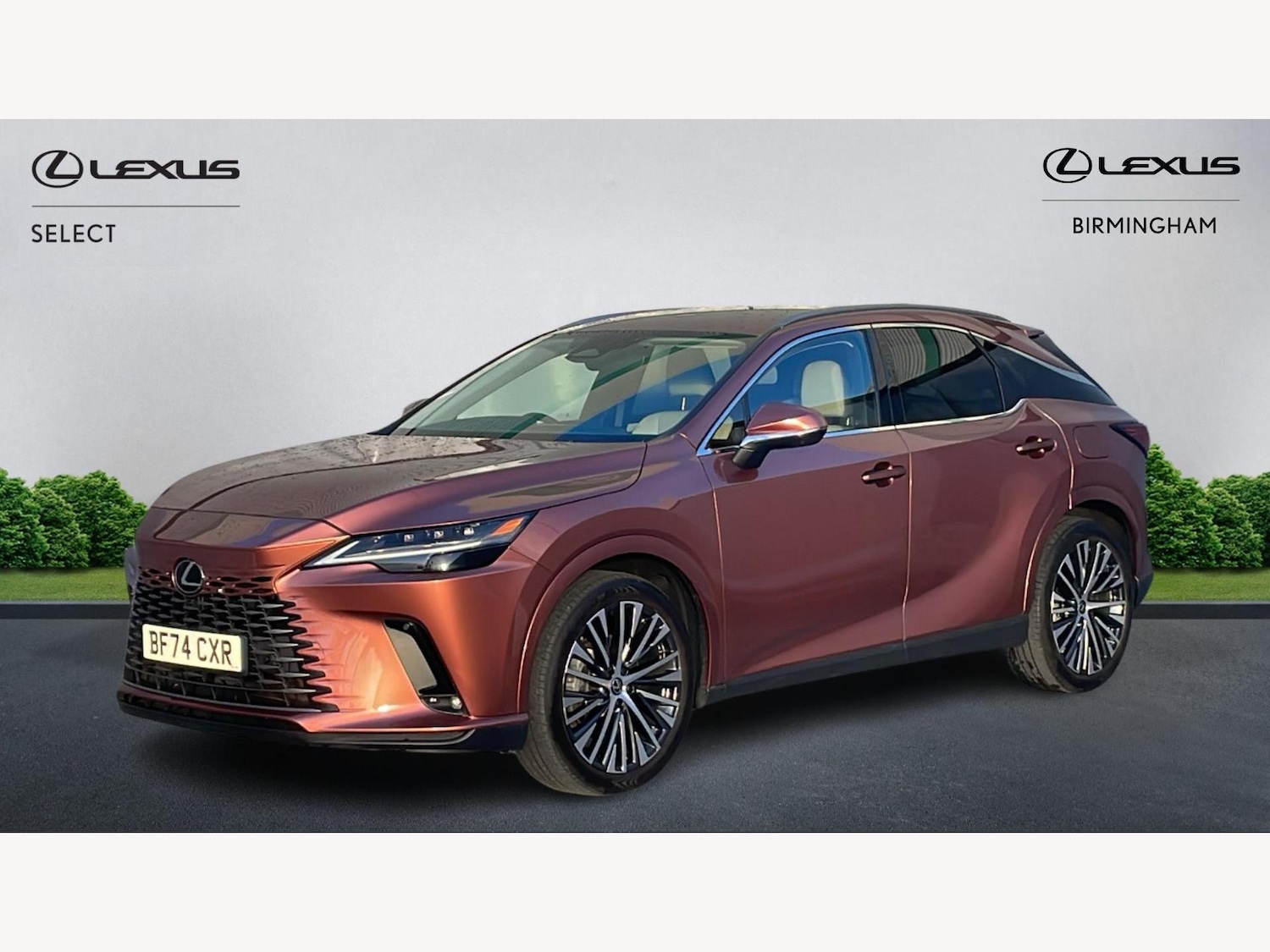 Used Lexus RX 2024 for sale - 77377607: Photo 19