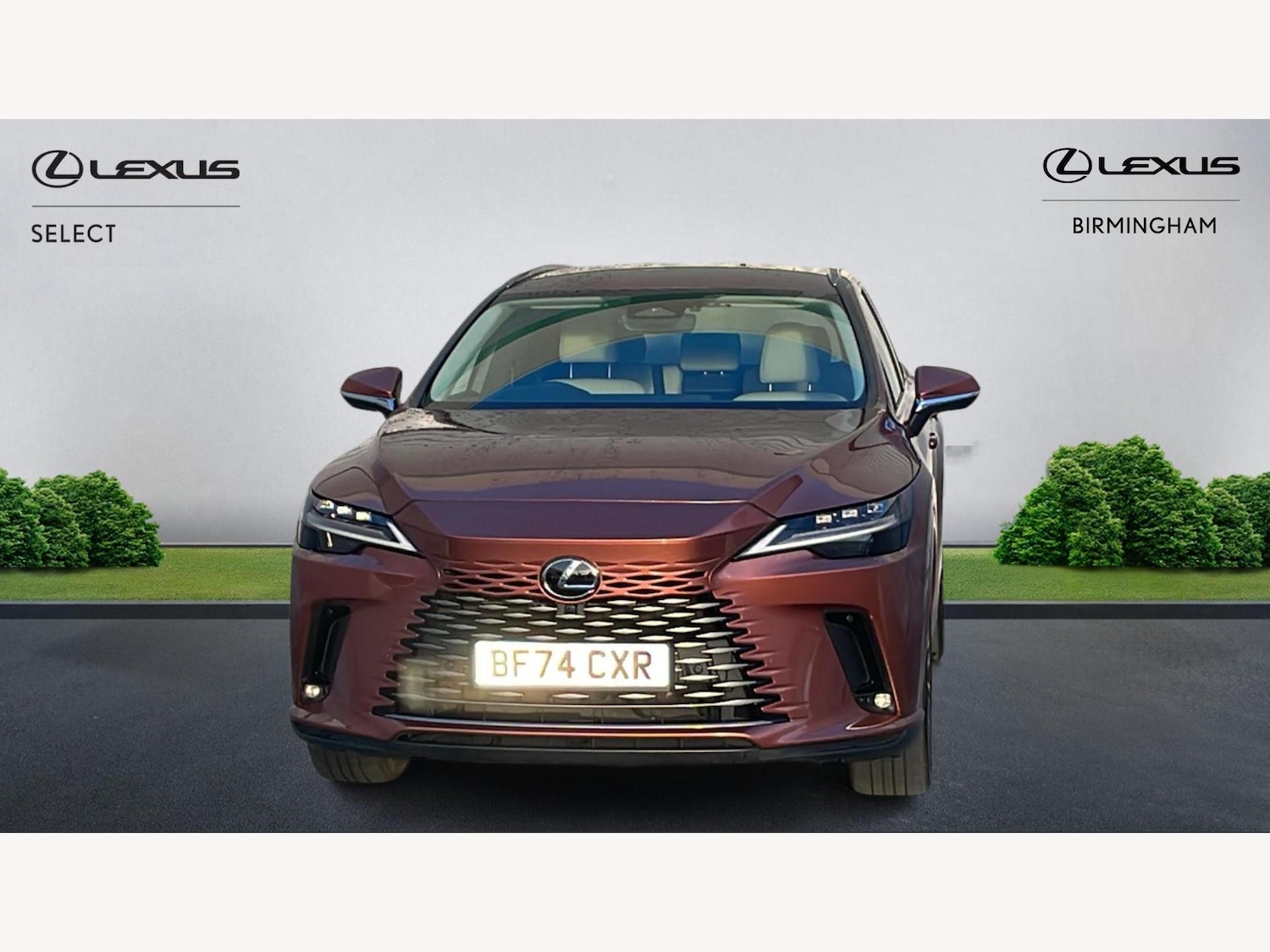 Used Lexus RX 2024 for sale - 77377607: Photo 6