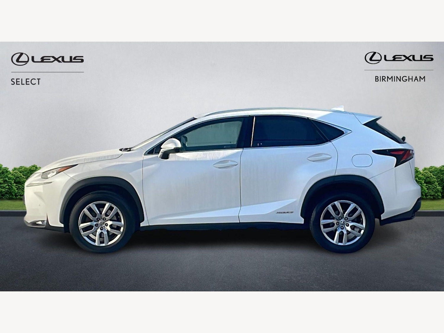 Used Lexus NX 2017 for sale - 77807693: Photo 3