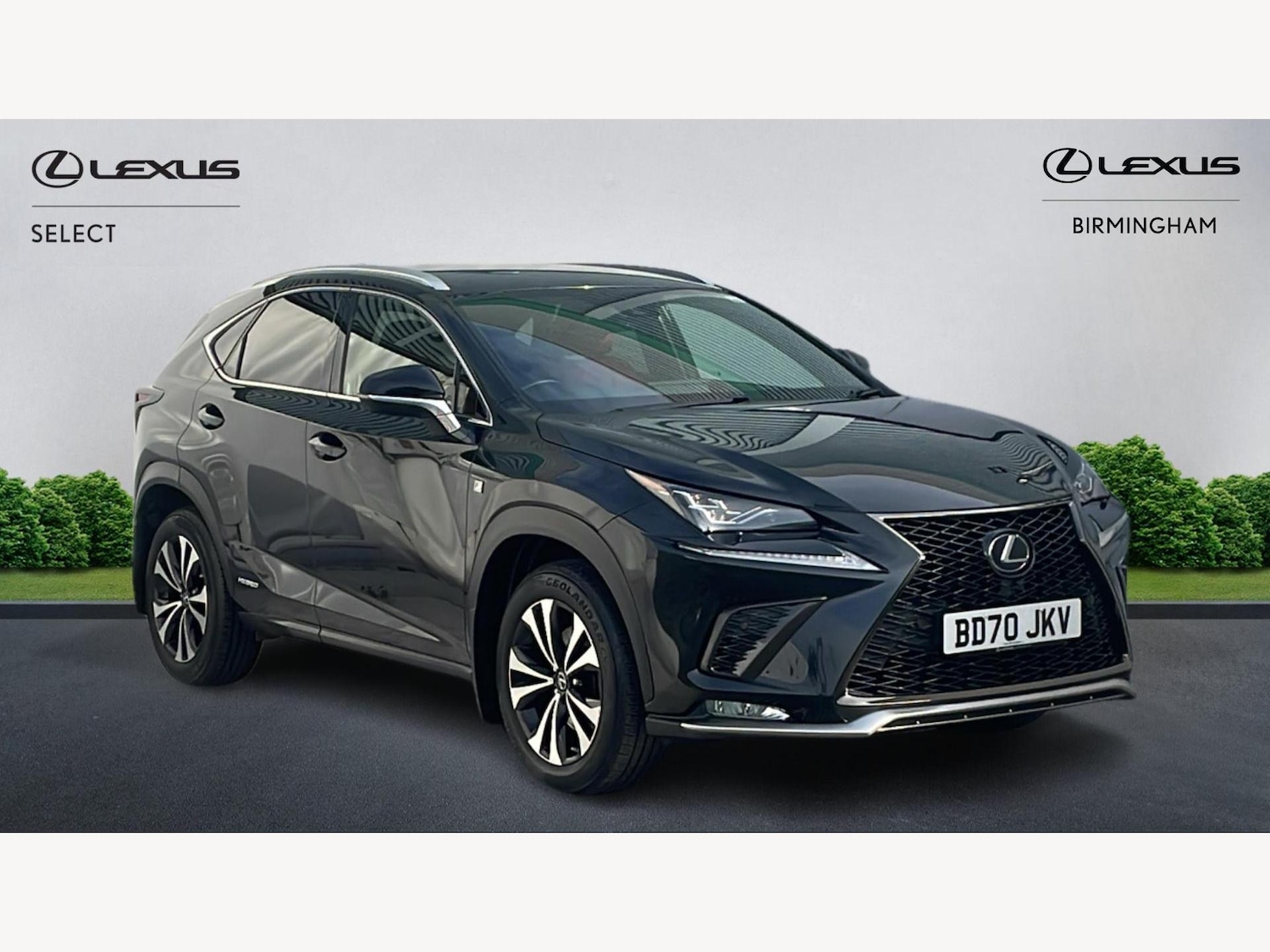 Used Lexus NX 2020 for sale - 76485920: Photo 1