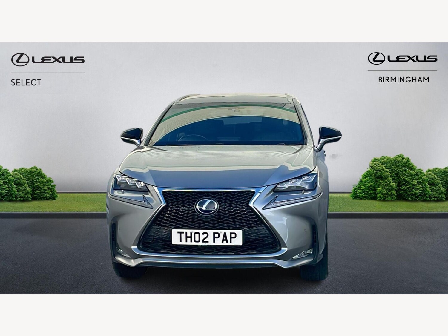 Used Lexus NX 2016 for sale - 76918538: Photo 6