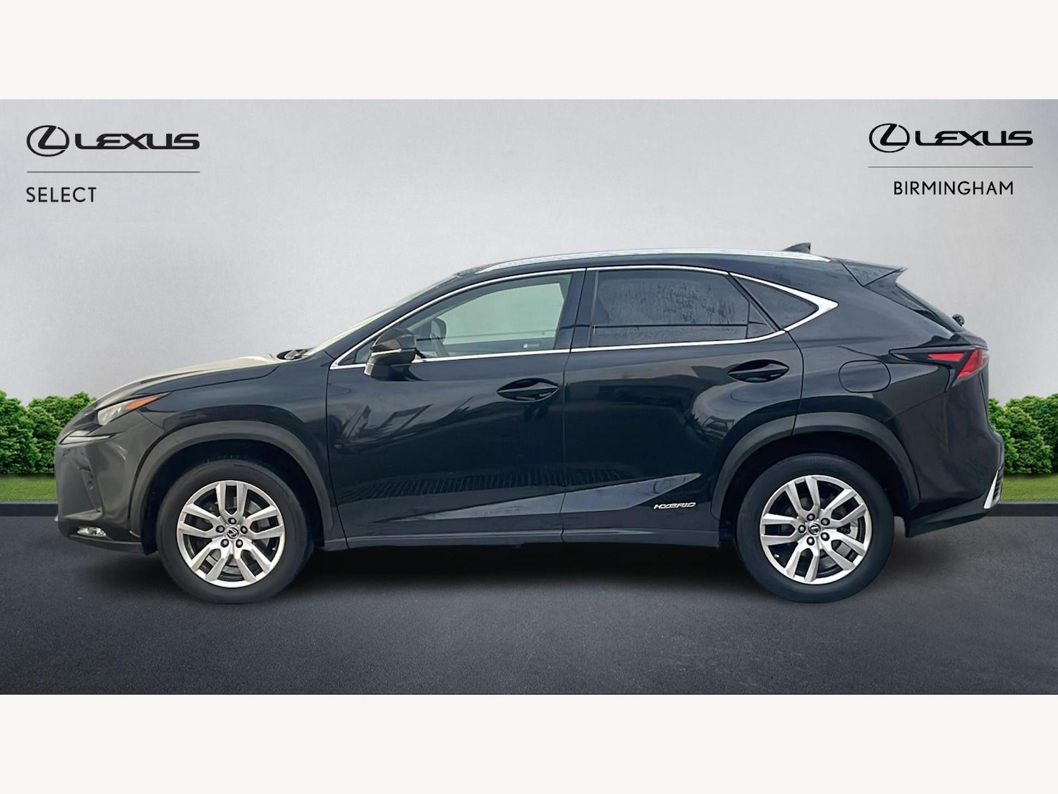 Used Lexus NX 2019 for sale - 77203980: Photo 3