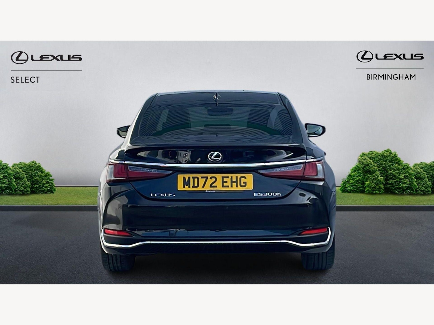 Used Lexus ES 2022 for sale - 77925923: Photo 7