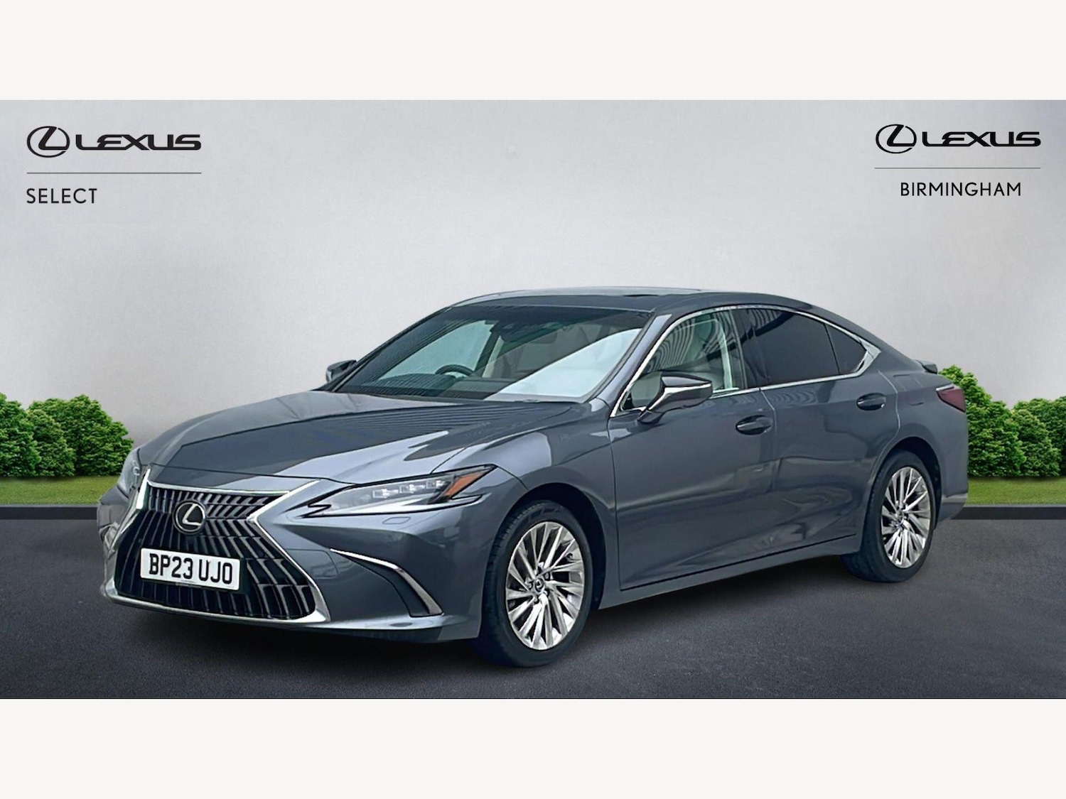 Used Lexus ES for sale - 77807620: Photo 19