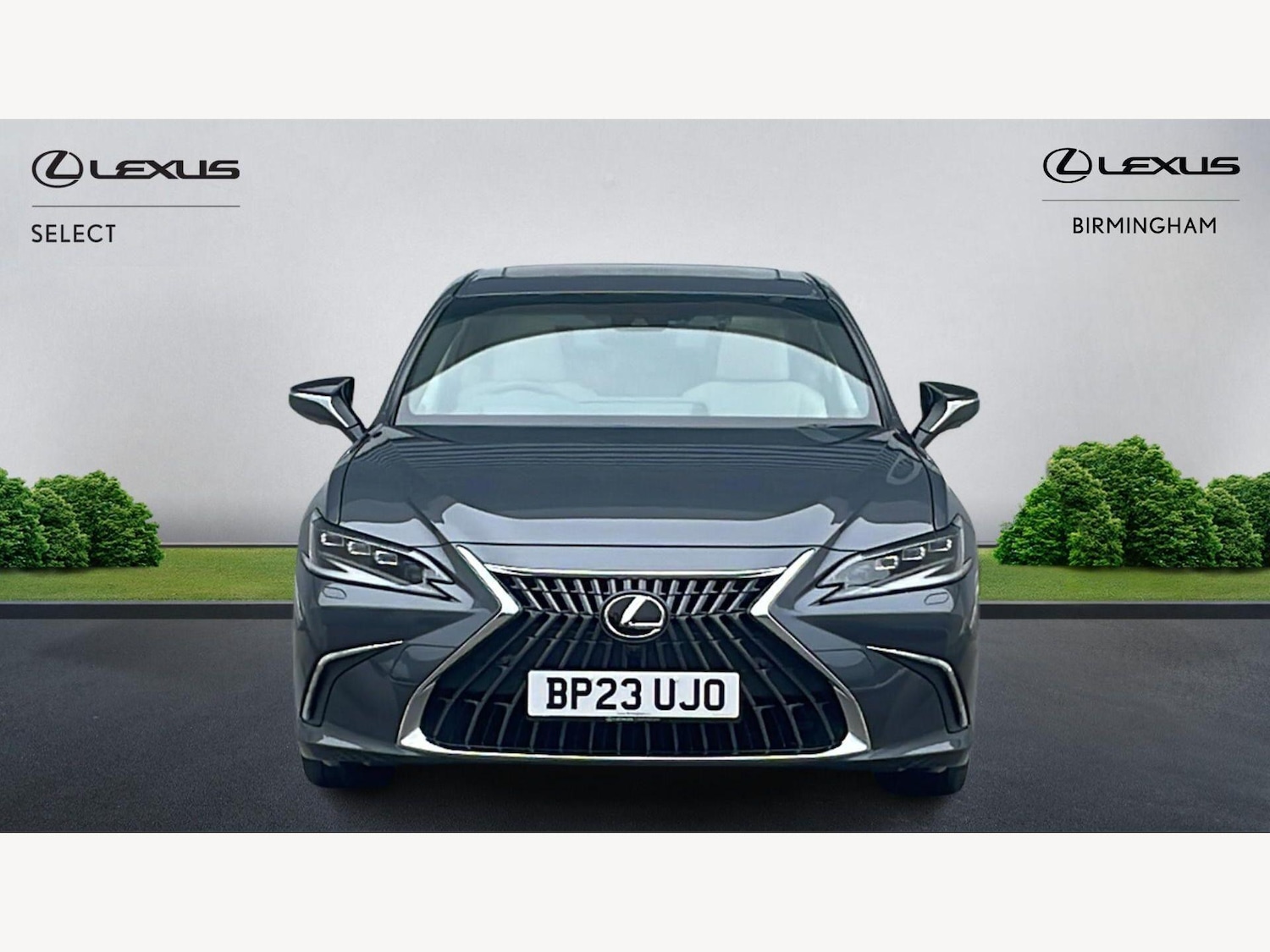 Used Lexus ES for sale - 77807620: Photo 6