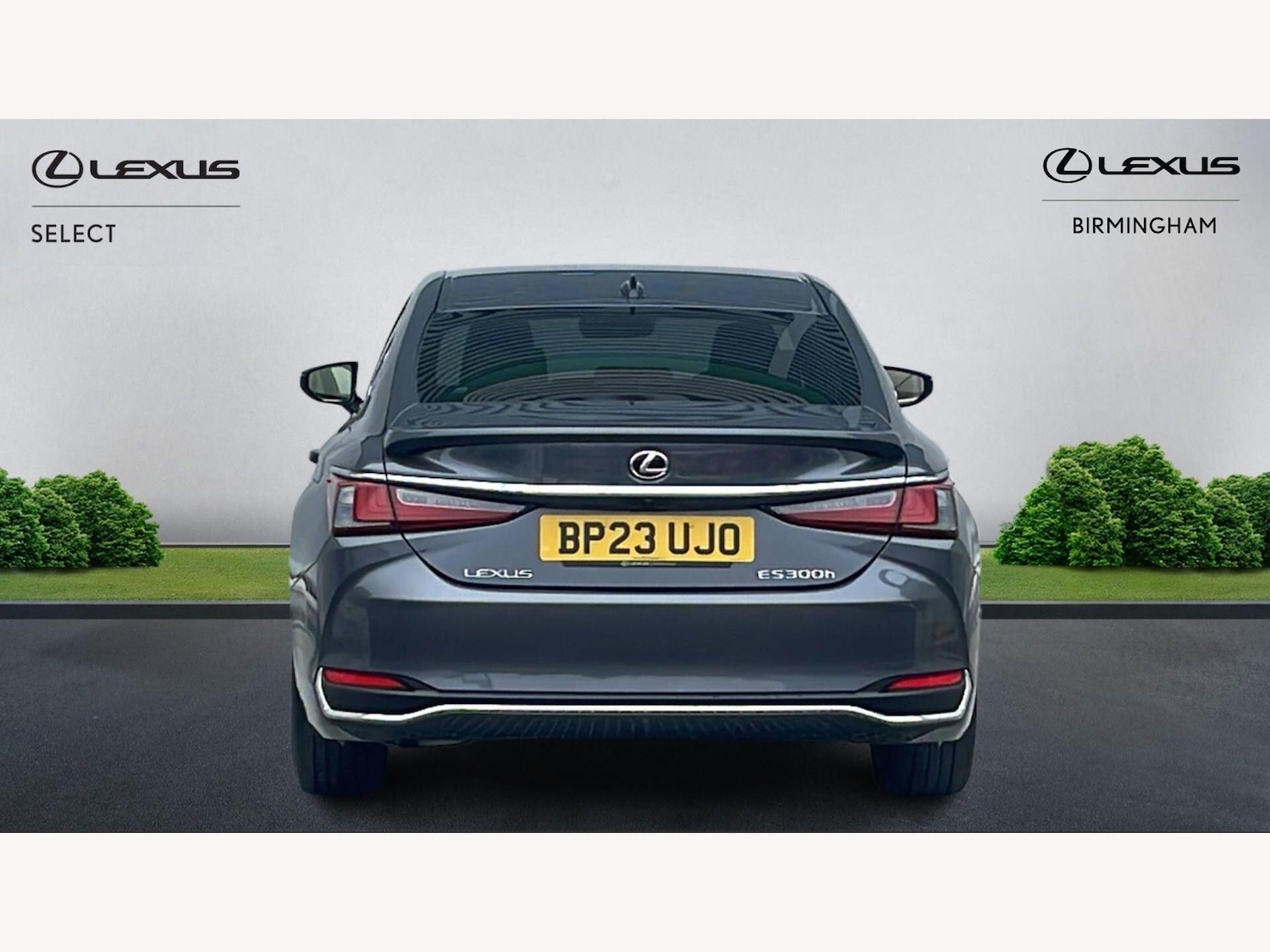 Used Lexus ES for sale - 77807620: Photo 7