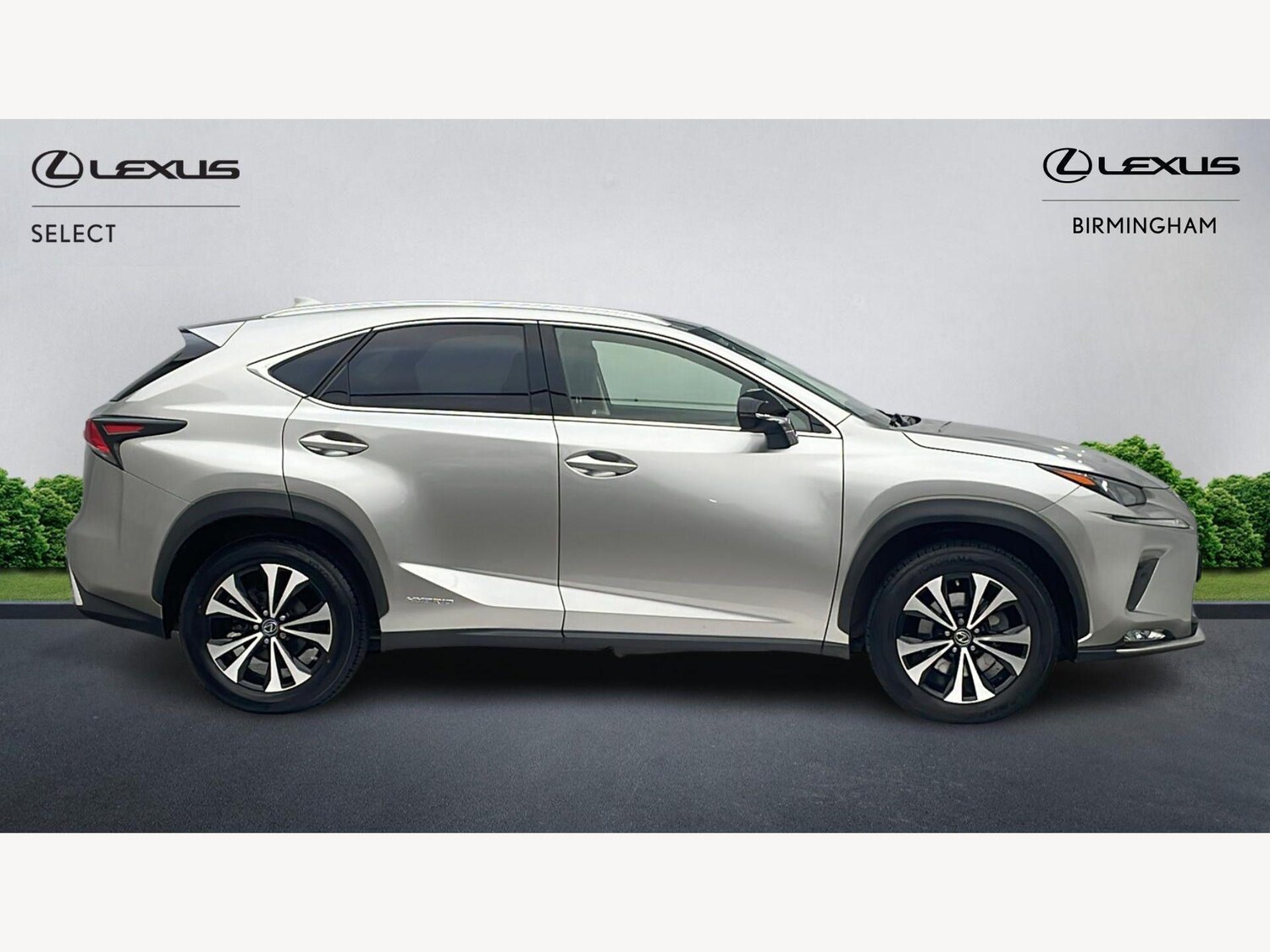 Used Lexus NX for sale - 77768992: Photo 18