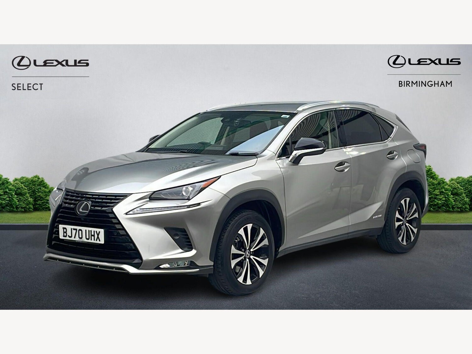 Used Lexus NX for sale - 77768992: Photo 19