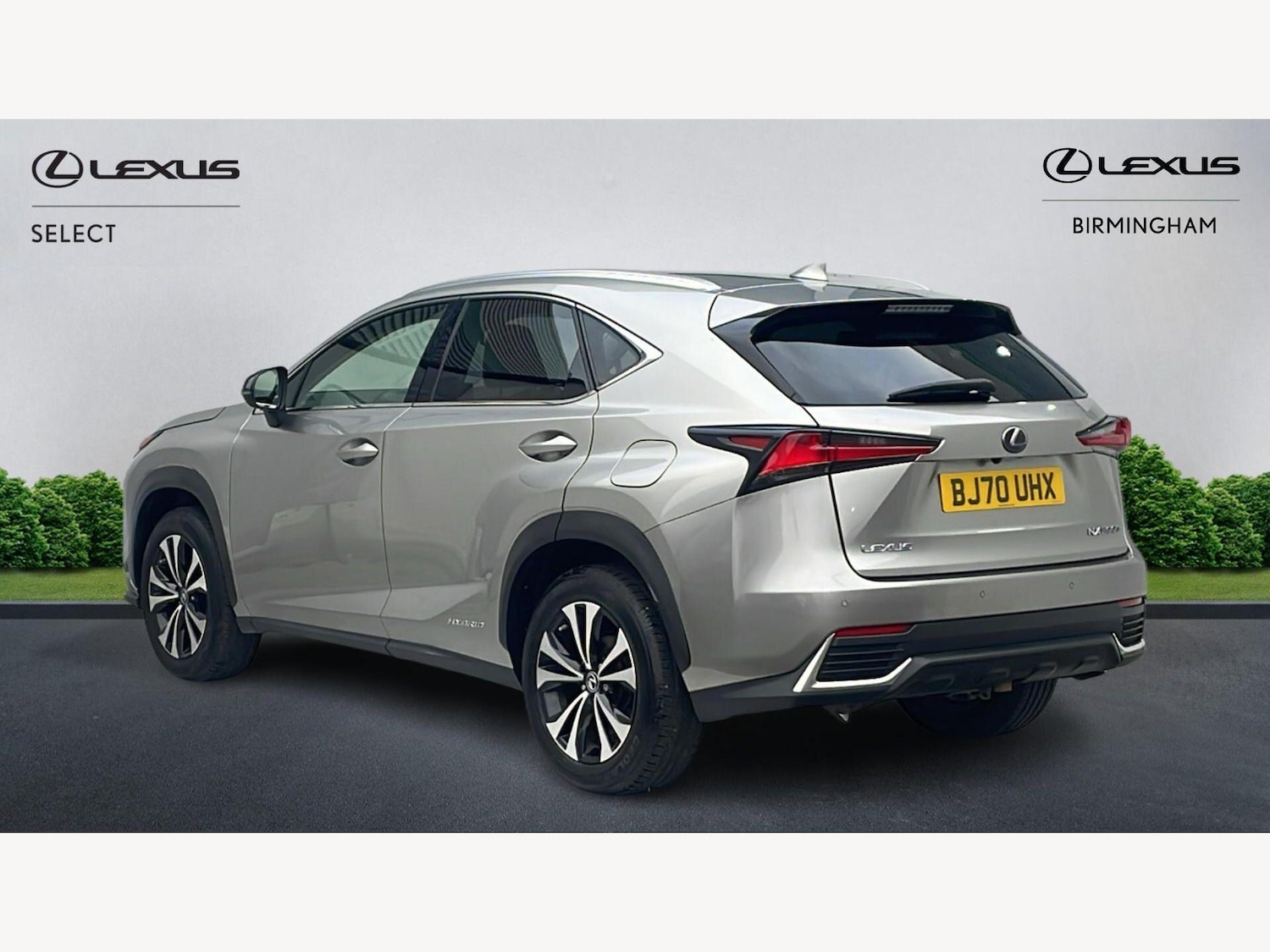 Used Lexus NX for sale - 77768992: Photo 2