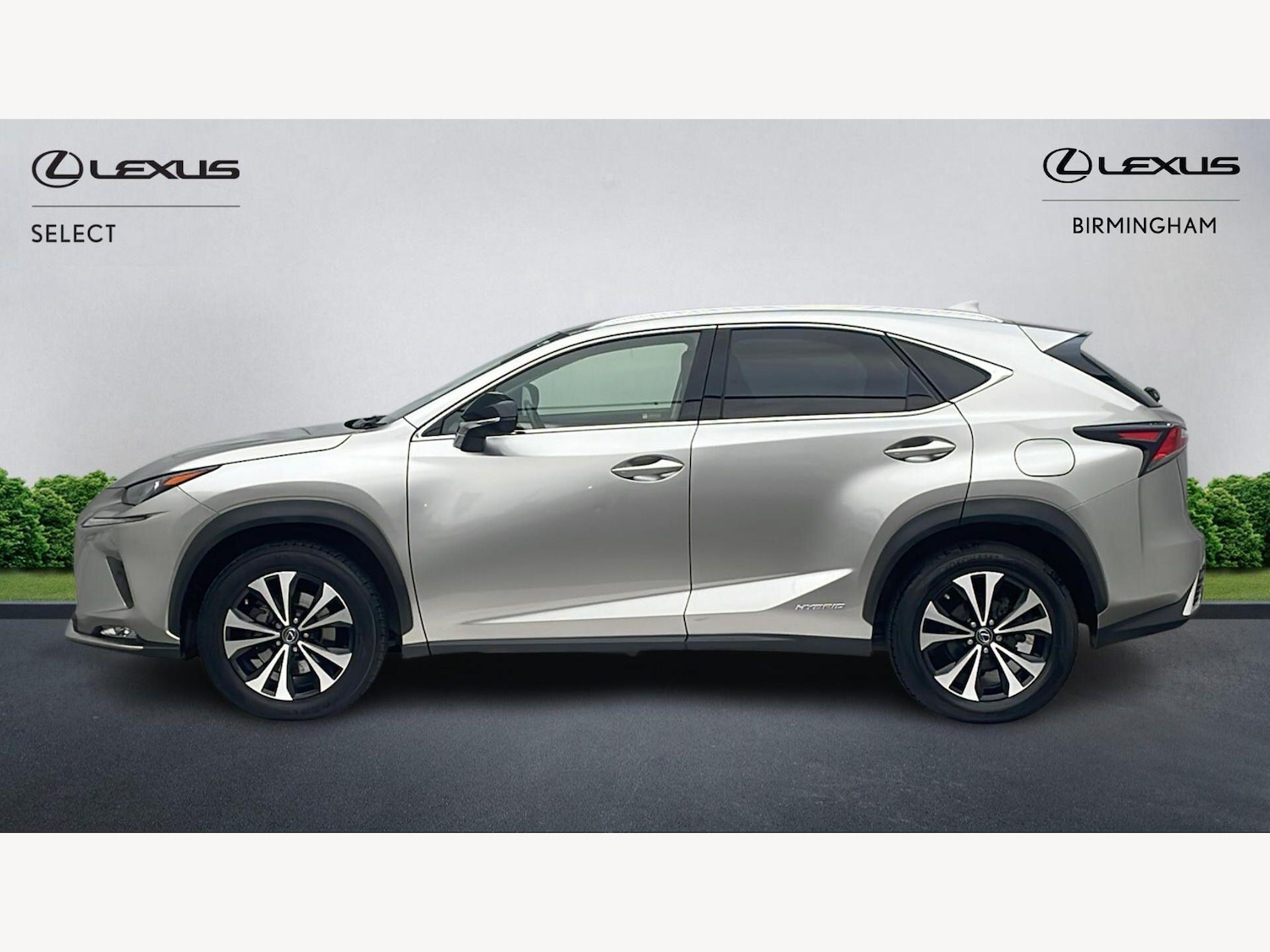 Used Lexus NX for sale - 77768992: Photo 3
