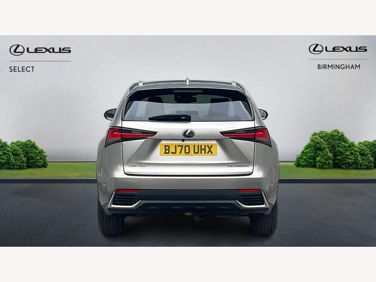 Used Lexus NX for sale - 77768992: Photo 7